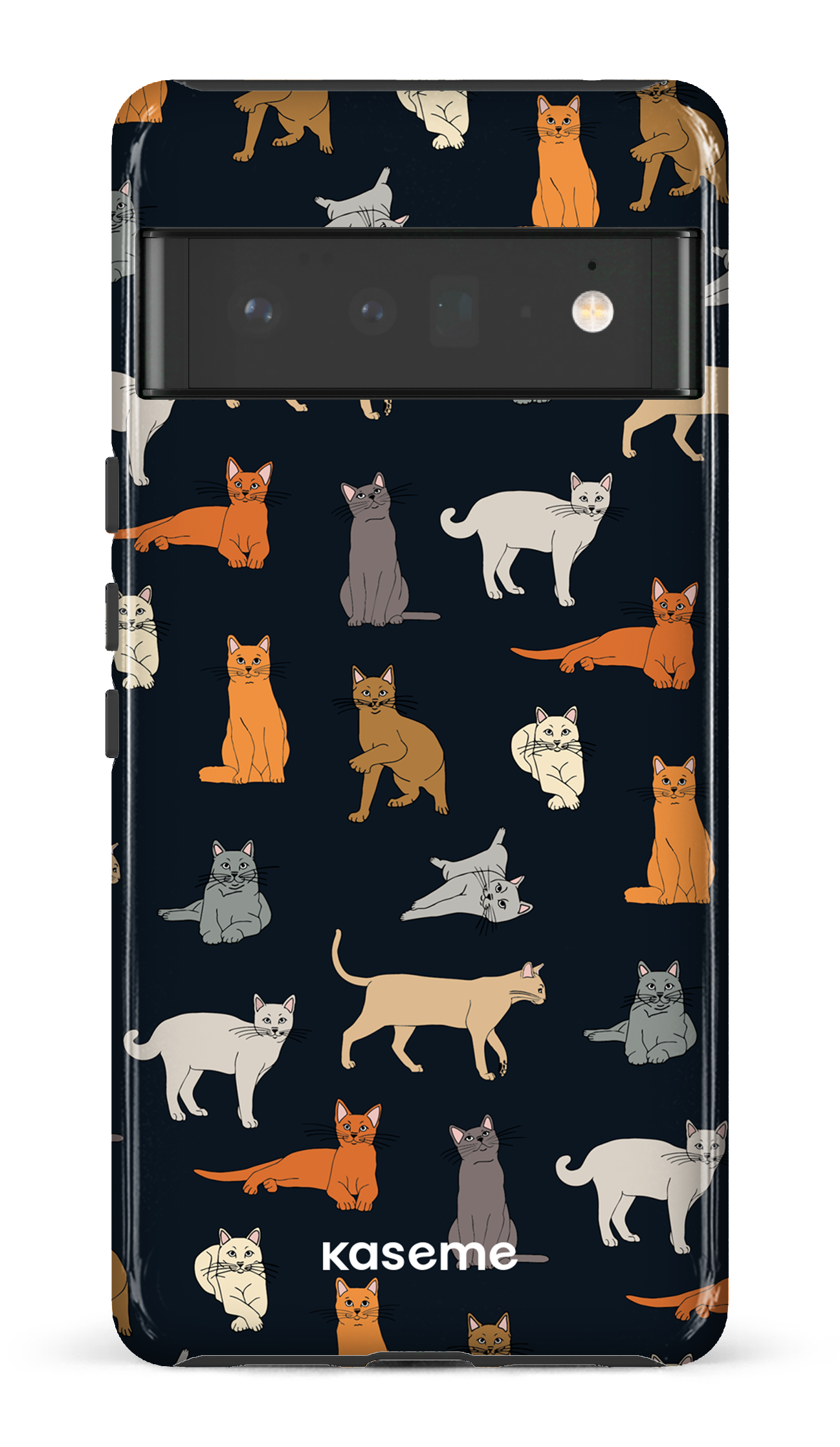 Kitty - Google Pixel 6 pro