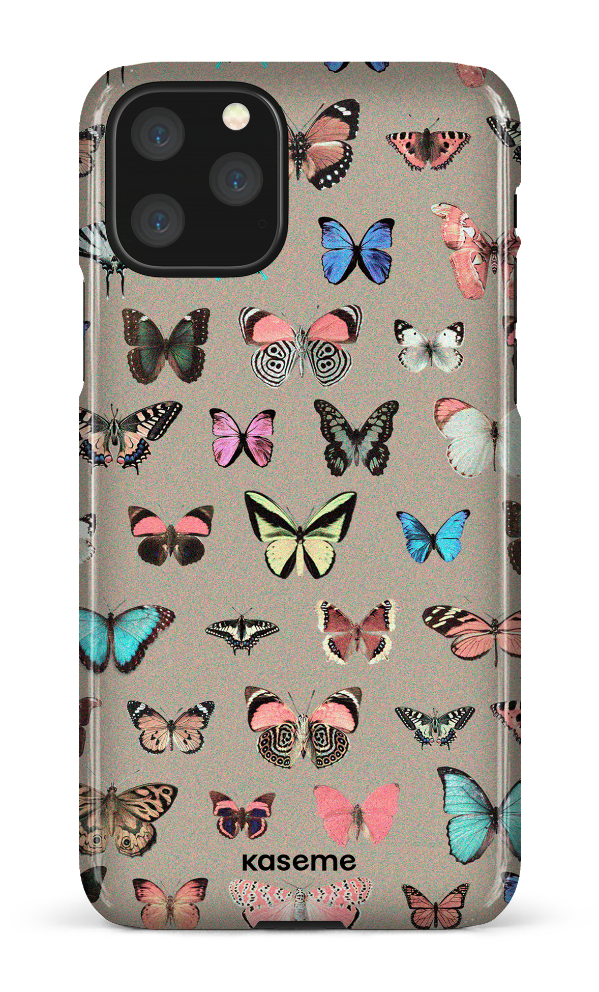 Paloma - iPhone 11 Pro