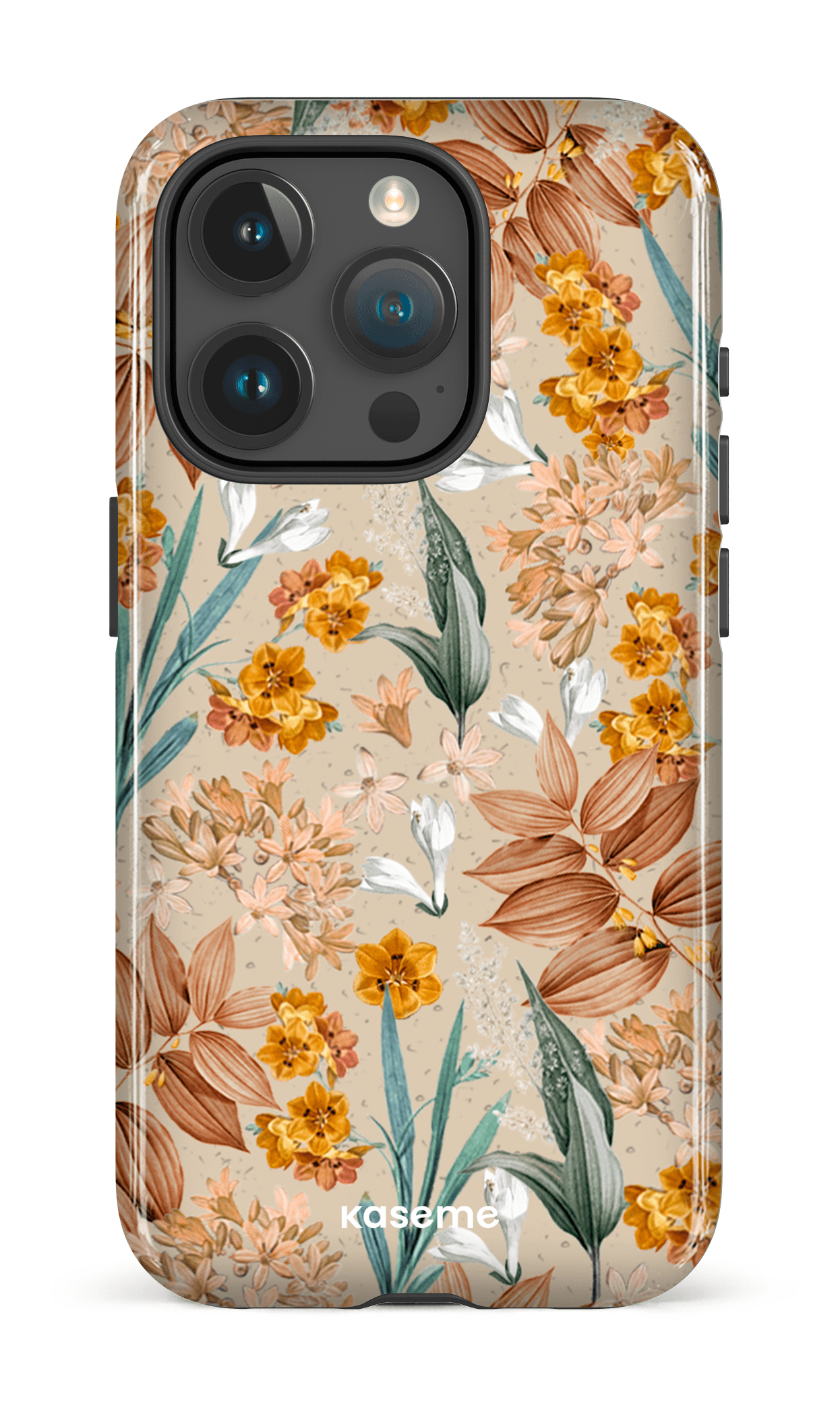 Autumn Leaves - iPhone 15 Pro