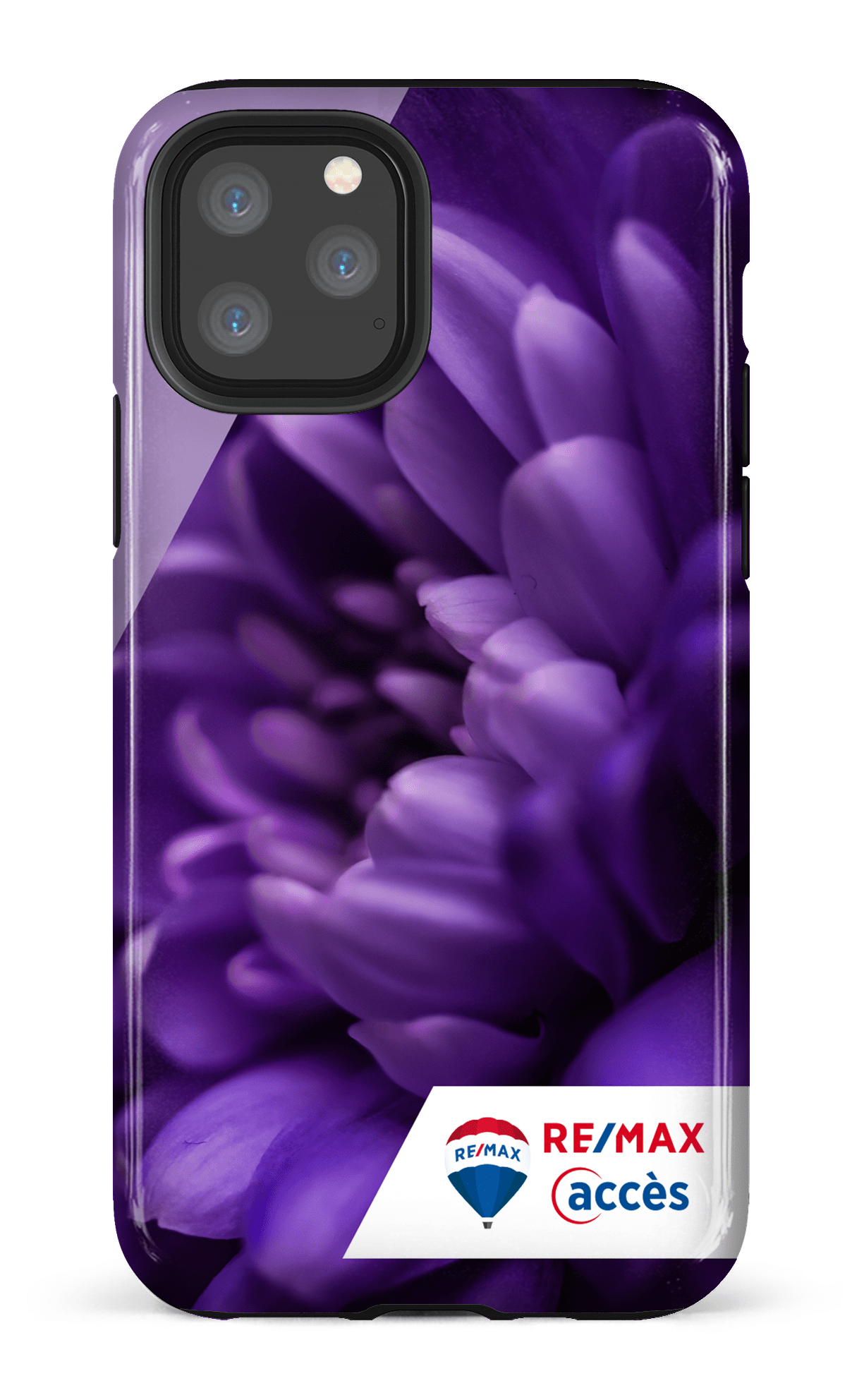 Fleur gros plan - iPhone 11 Pro