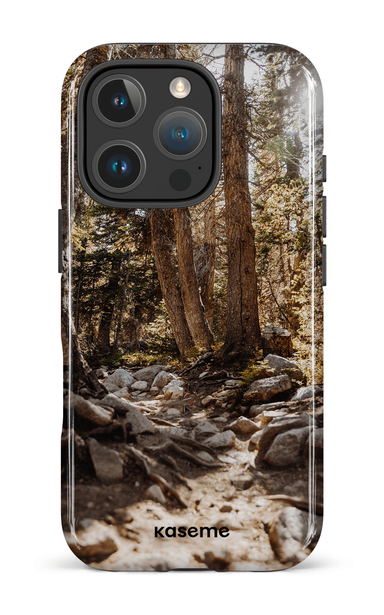iPhone 16 Pro Impact Case Lane -