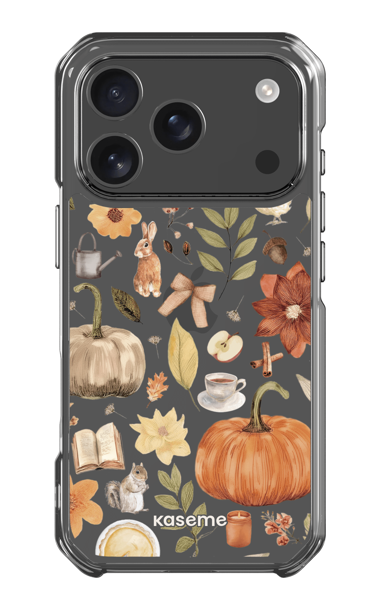 iPhone 17 Pro Clear Case Harvest Hues Clear Case -