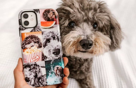 étui de téléphone personnalisé kaseme devant un petit chien caniche gris