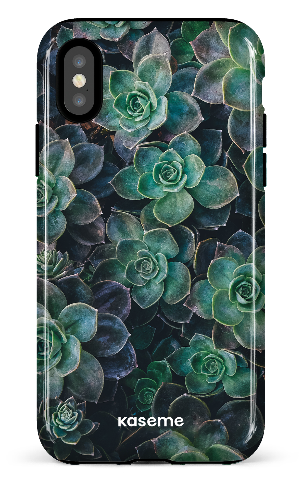 Succulente - iPhone X/XS