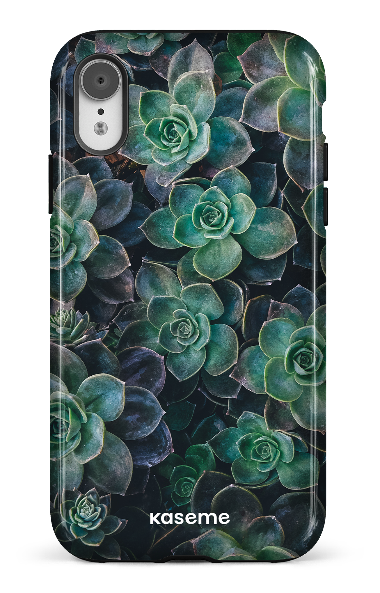 Succulente - iPhone XR