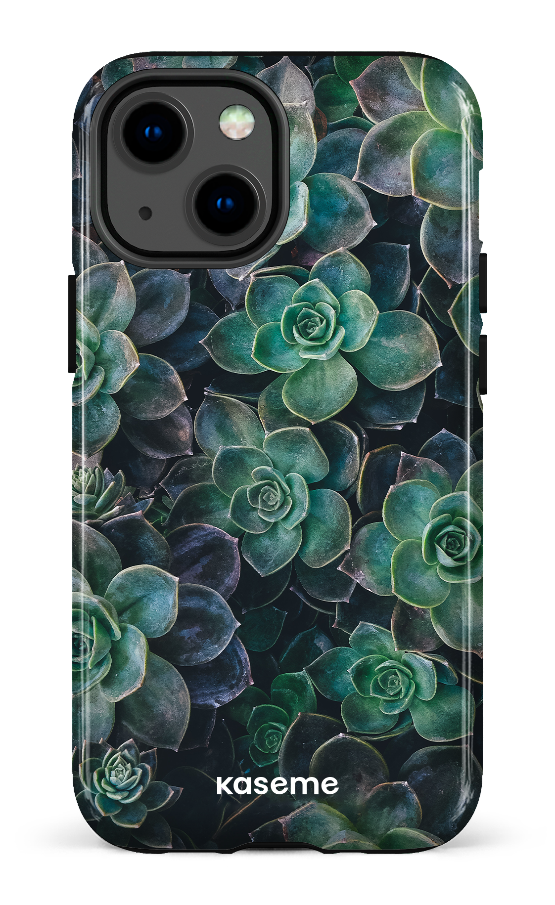 Succulente - iPhone 13 Mini
