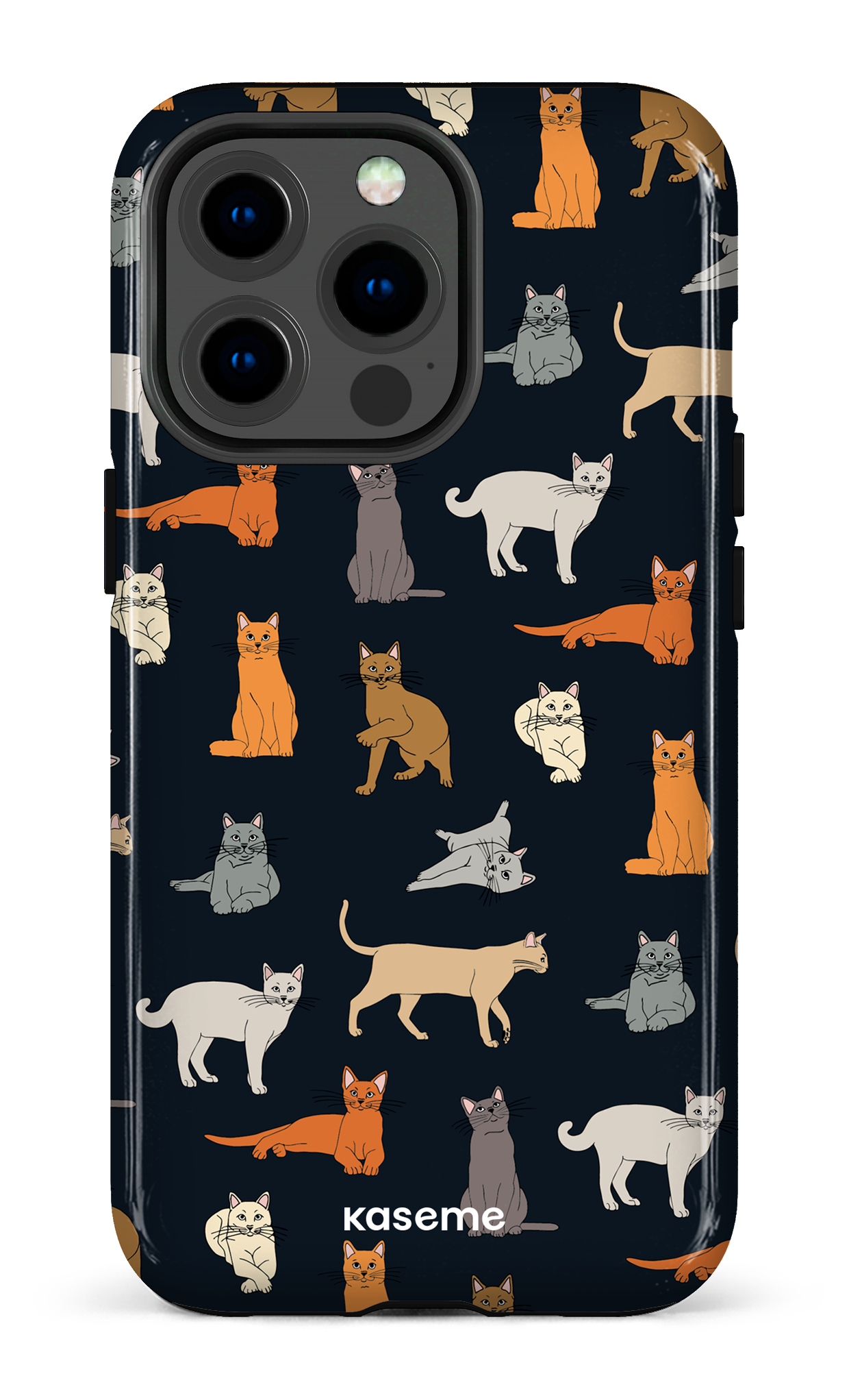 Kitty - iPhone 13 Pro