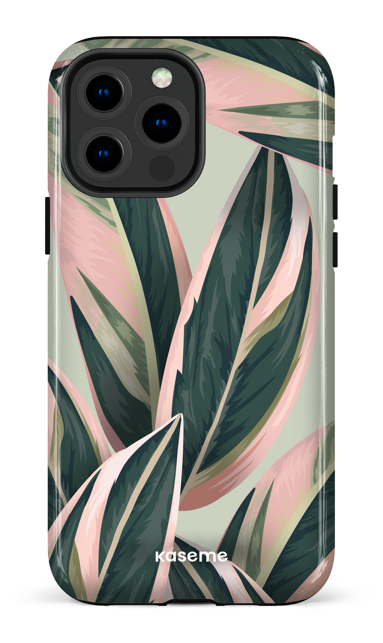 Tricolor - iPhone 13 Pro Max