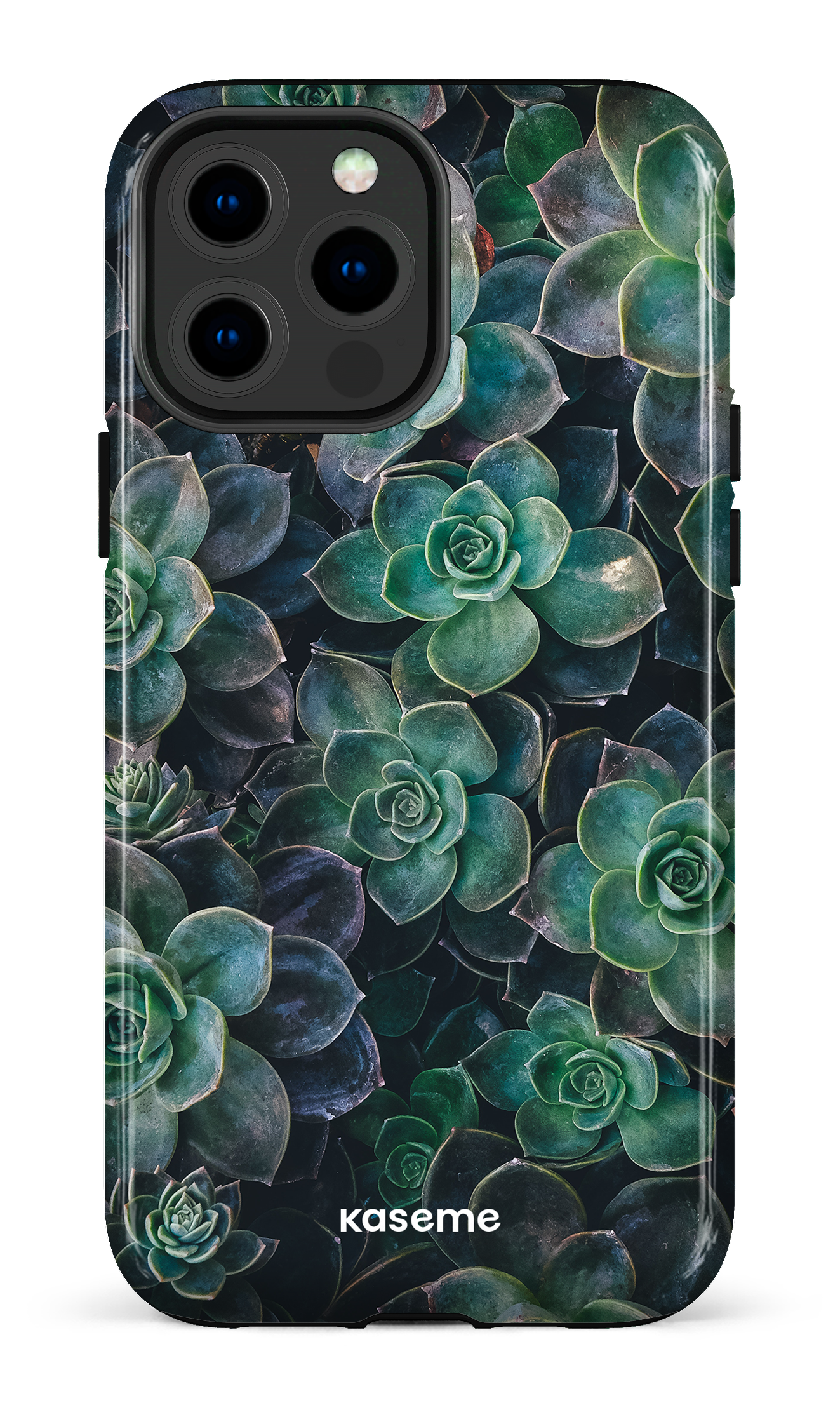 Succulente - iPhone 13 Pro Max