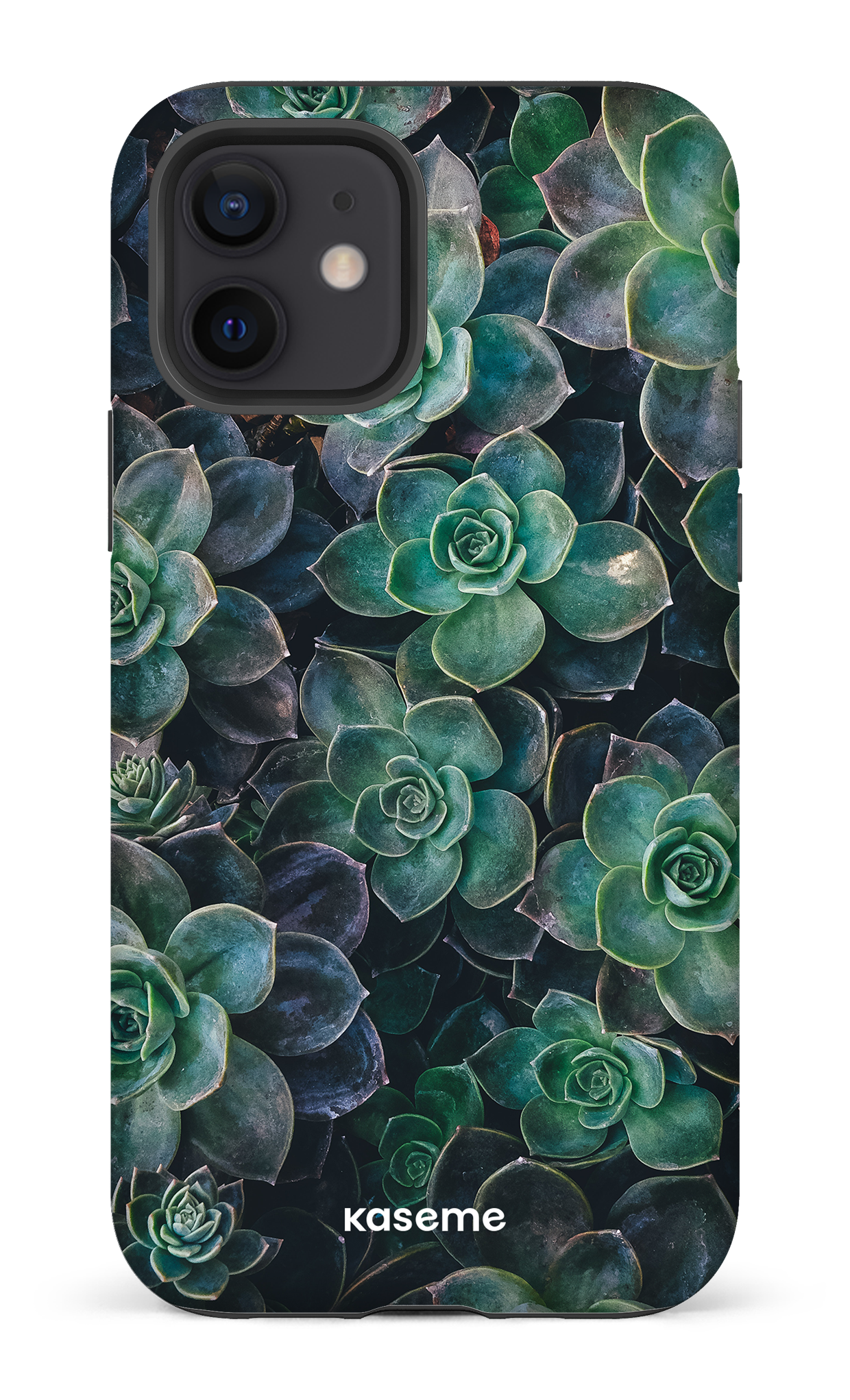 Succulente - iPhone 12