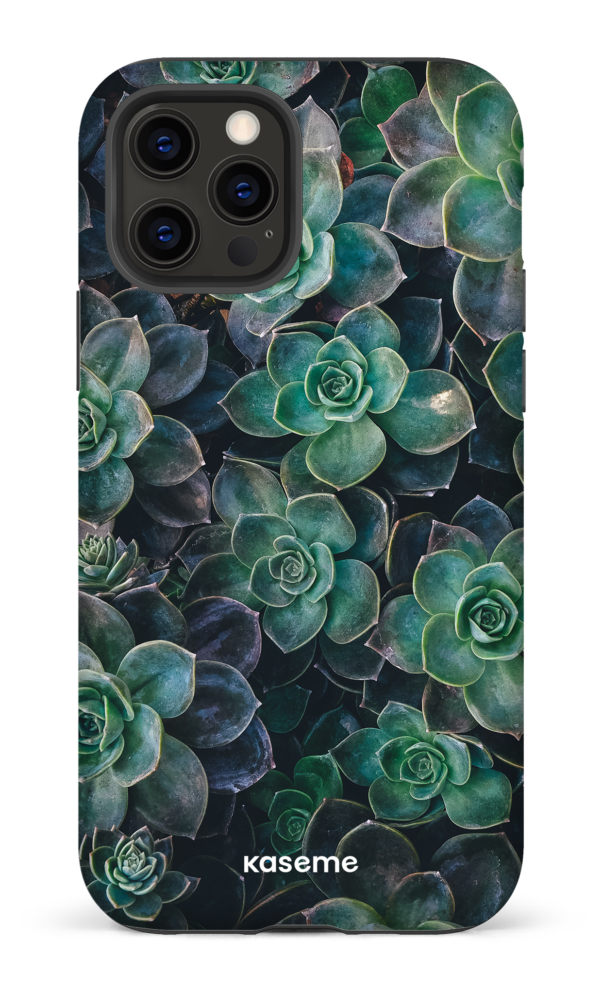 Succulente - iPhone 12 Pro