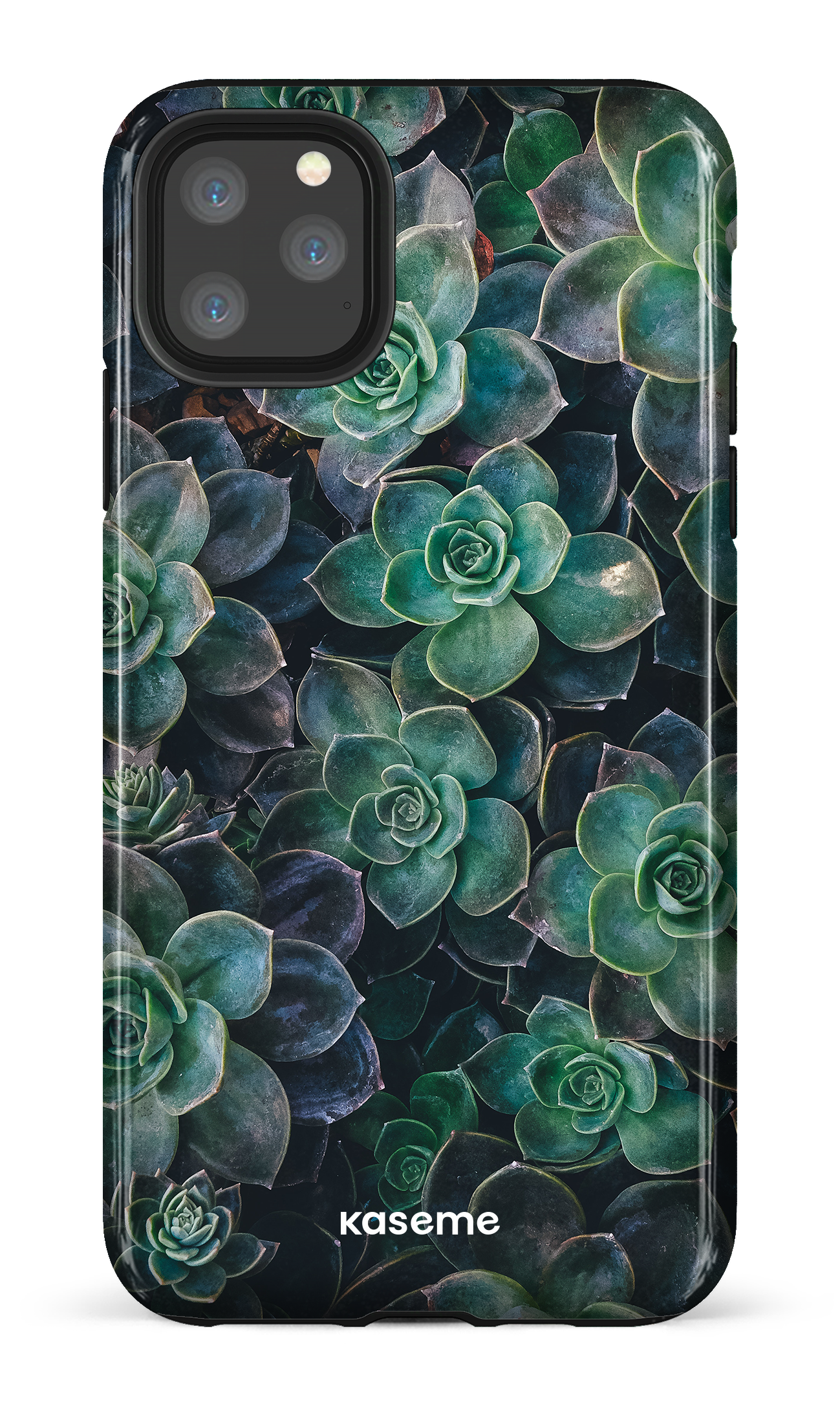 Succulente - iPhone 11 Pro Max