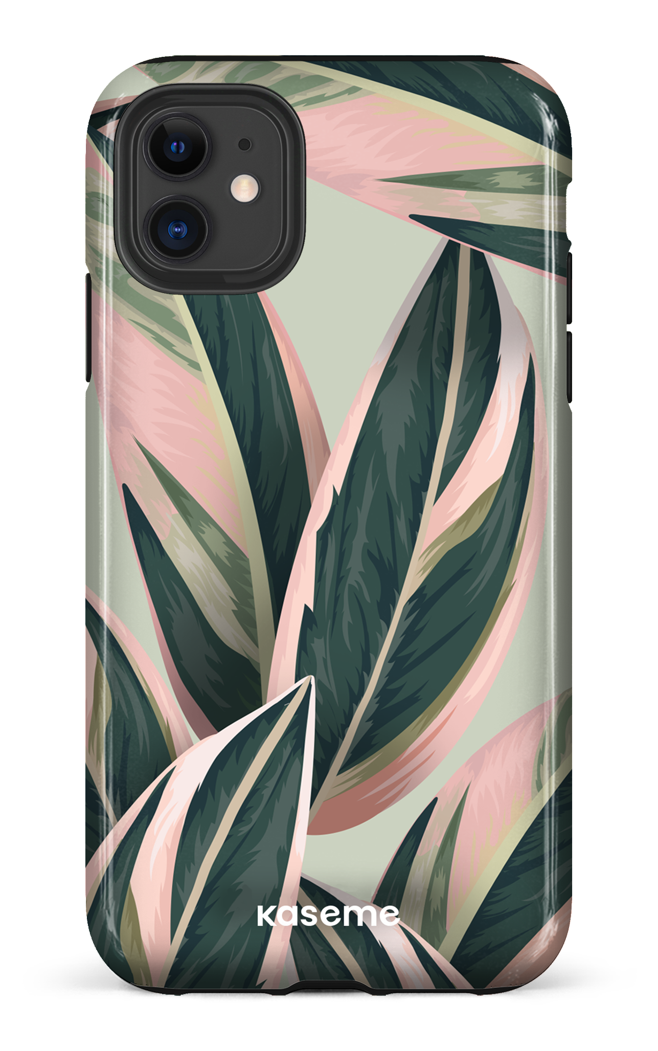 Tricolor - iPhone 11