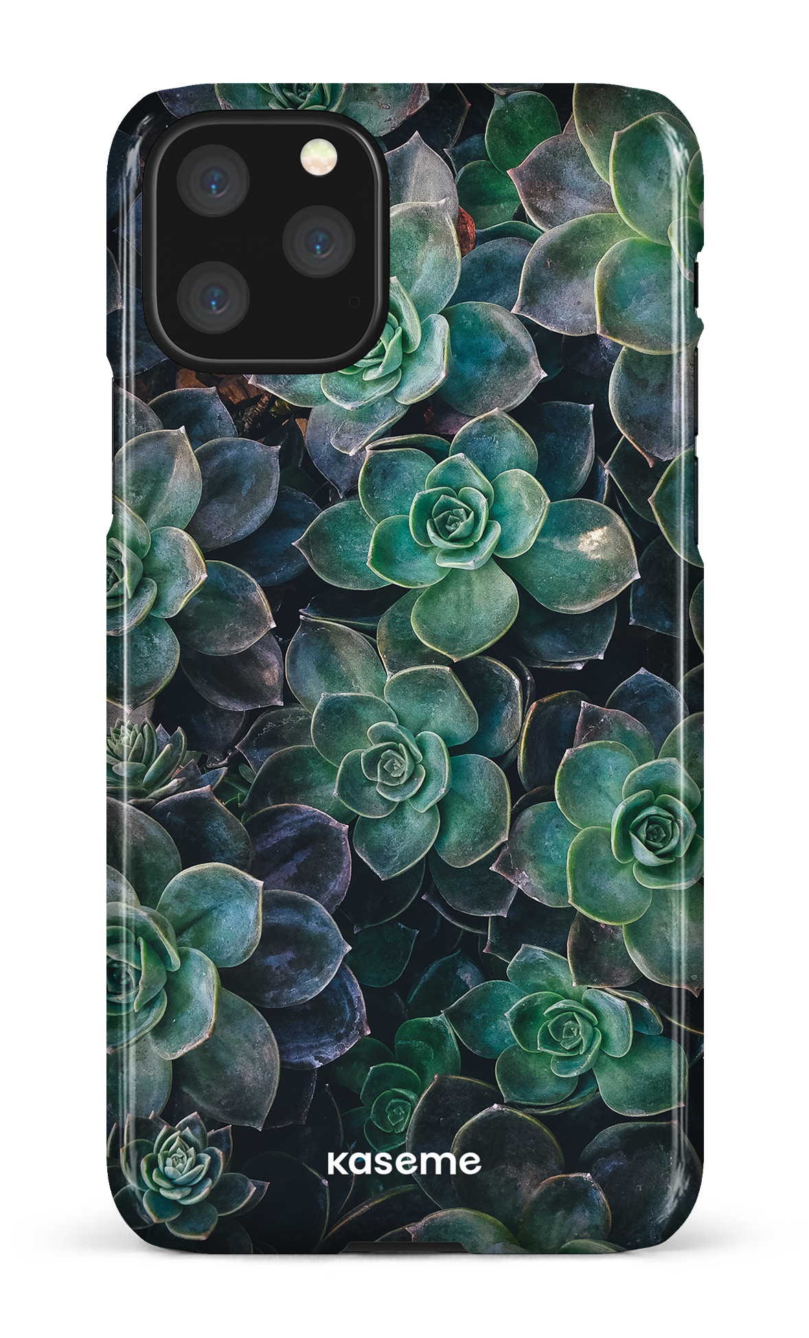 Succulente - iPhone 11 Pro
