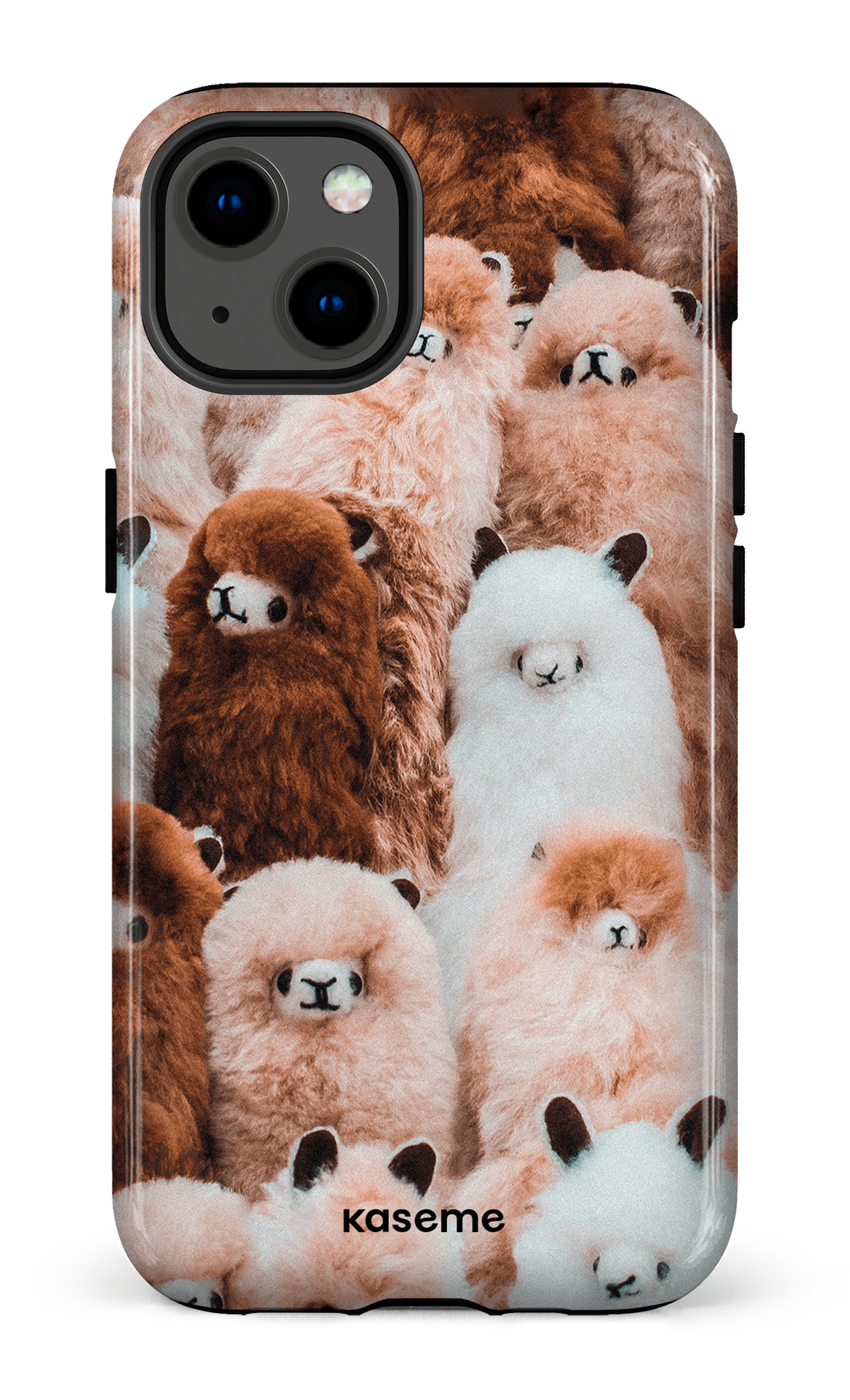 Fuzzy - iPhone 13