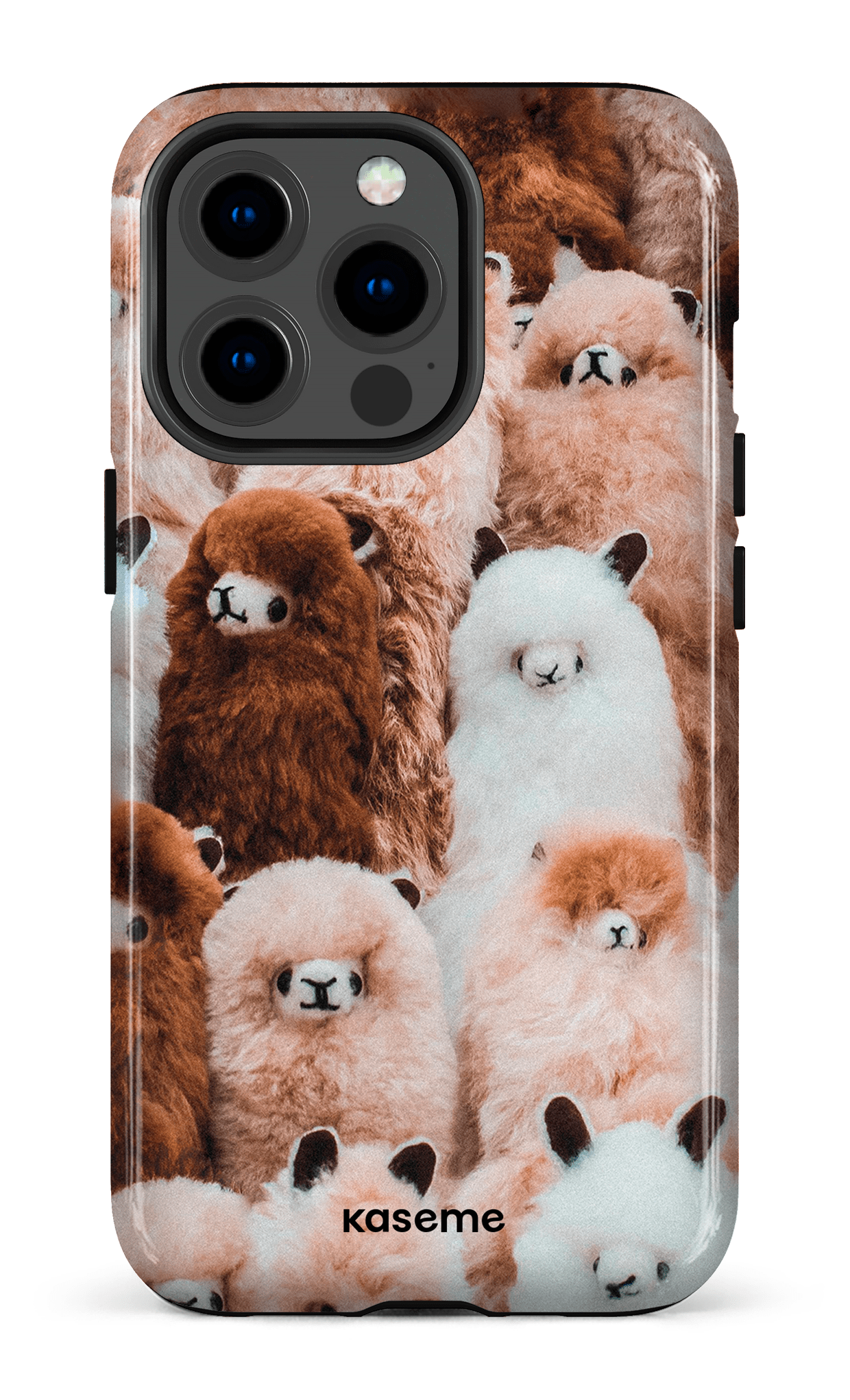 Fuzzy - iPhone 13 Pro
