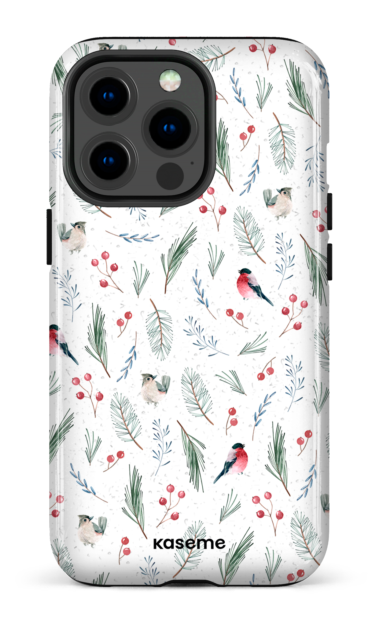Cardinal - iPhone 13 Pro