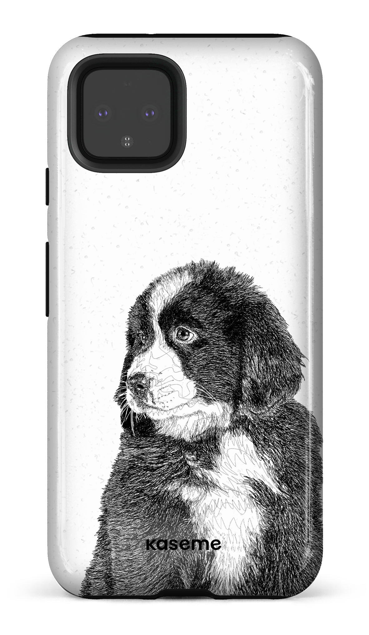 Bernese Mountain Dog - Google Pixel 4