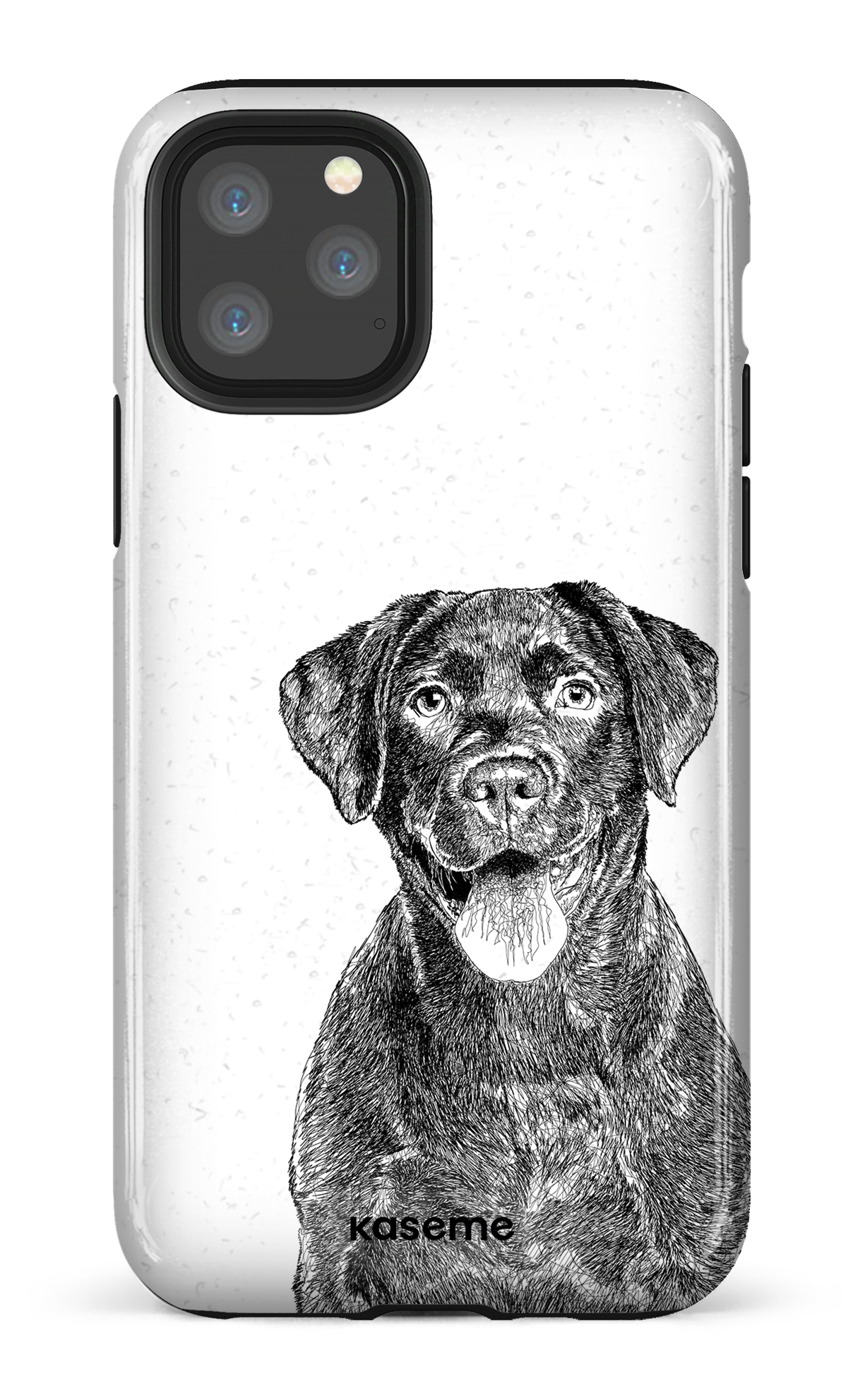 Labrador Retriever - iPhone 11 Pro