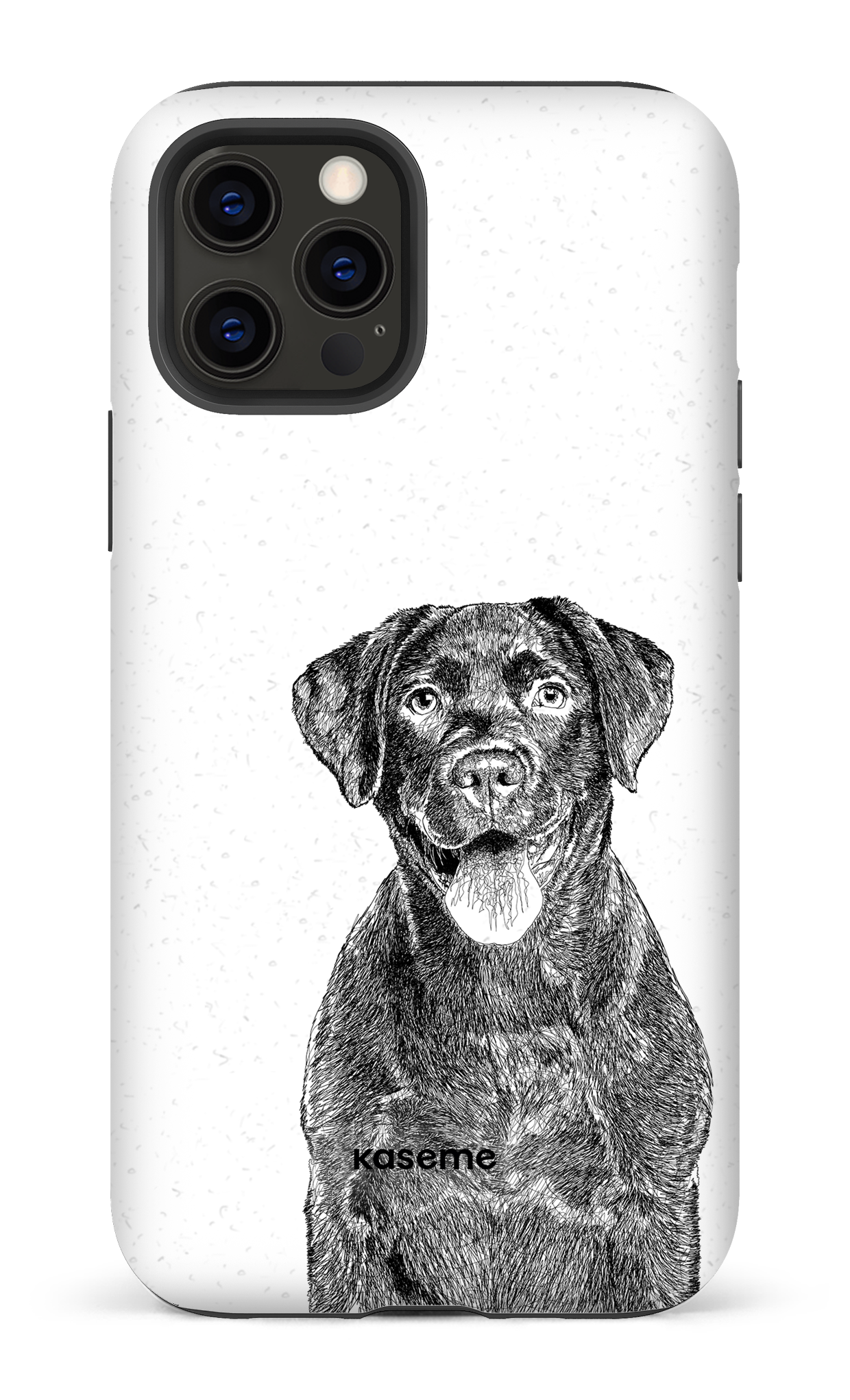 Labrador Retriever - iPhone 12 Pro