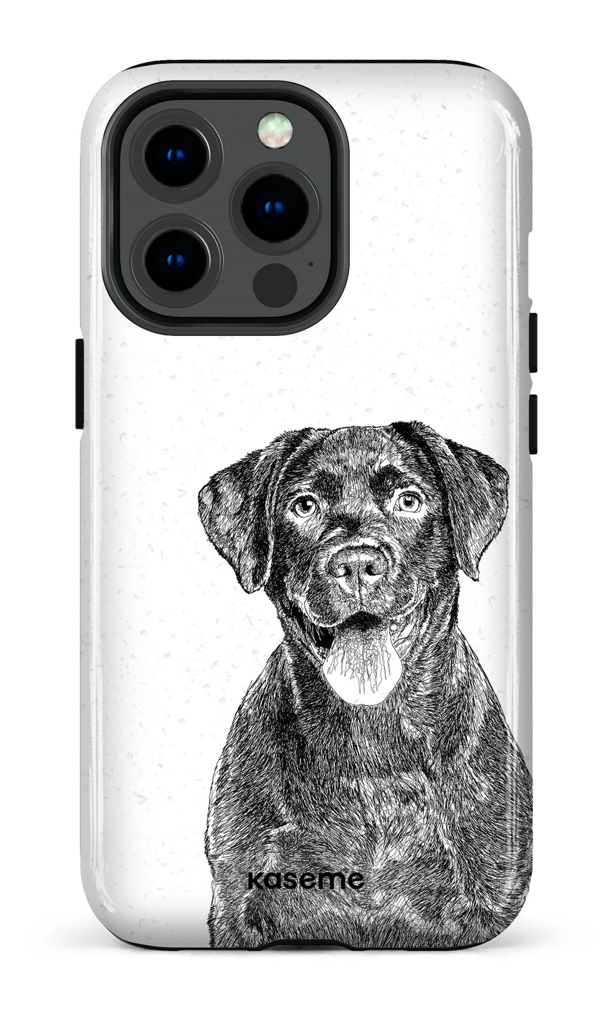 Labrador Retriever - iPhone 13 Pro