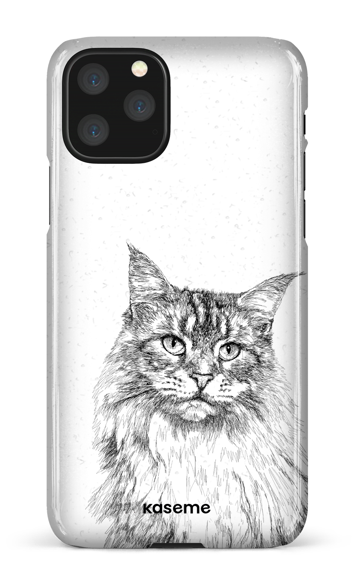 Maine Coon - iPhone 11 Pro