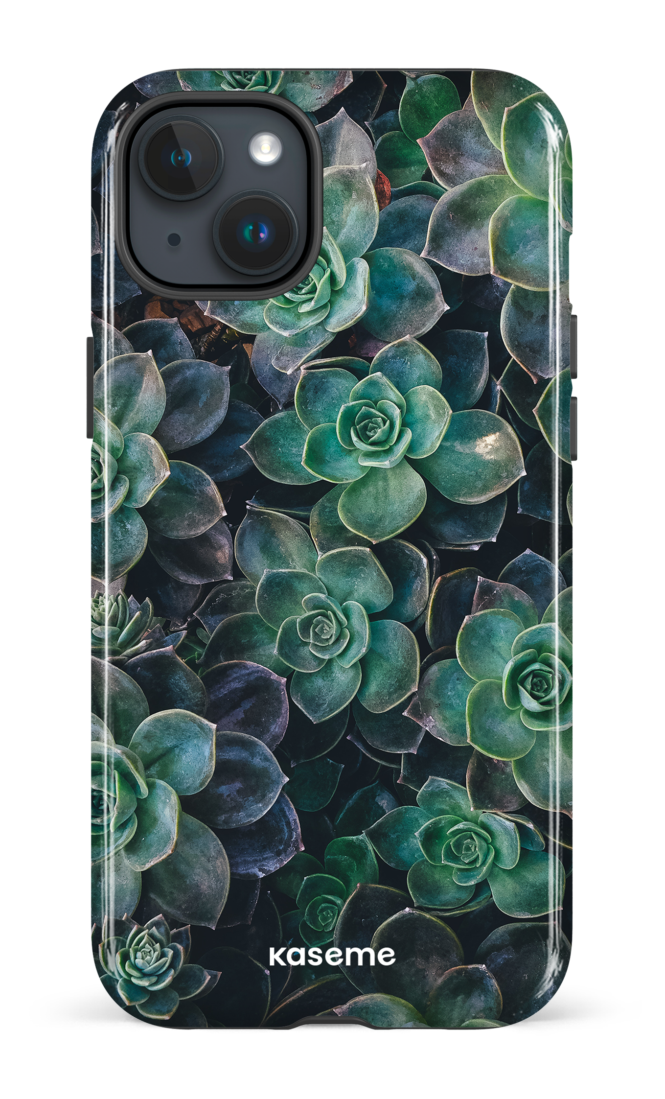 Succulente - iPhone 15 Plus