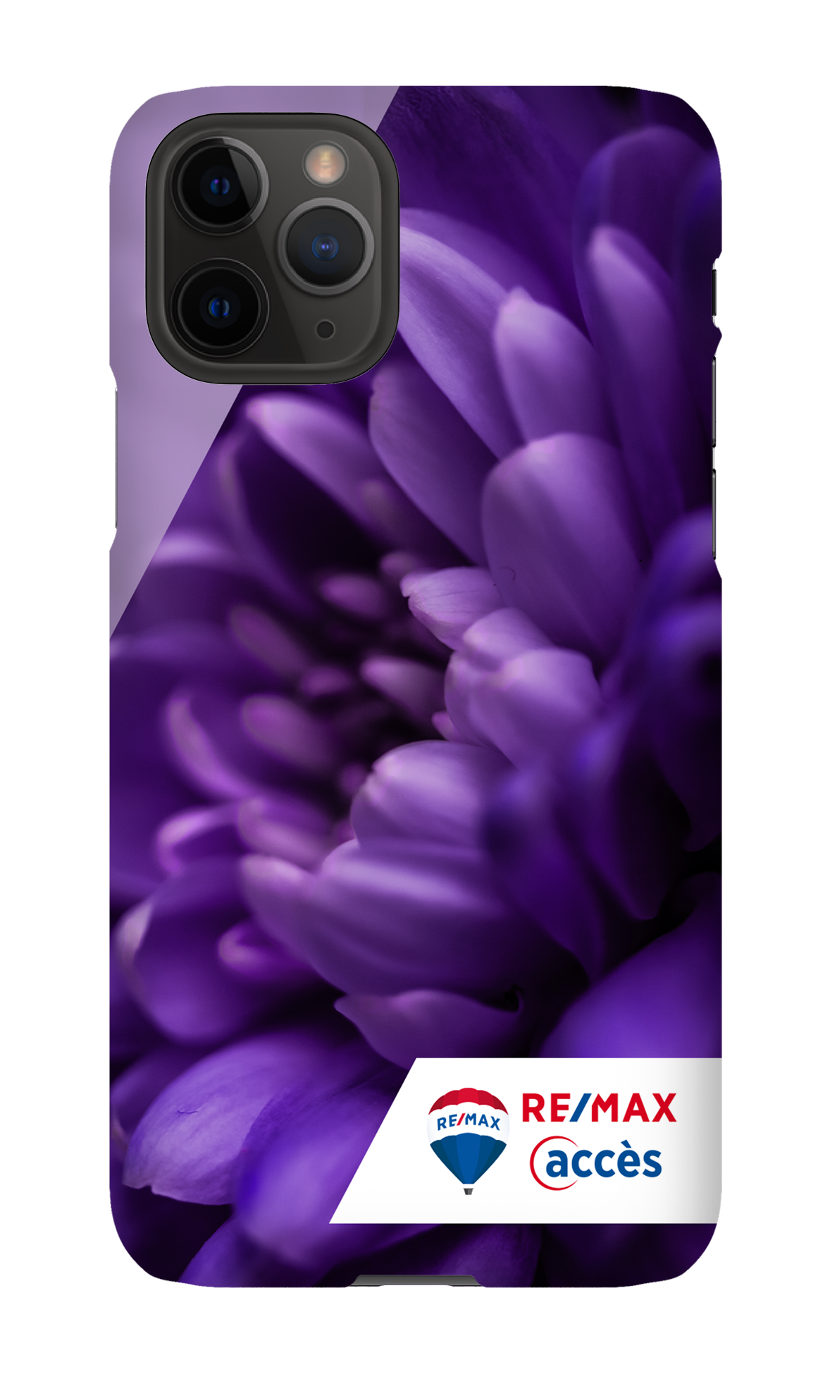 Fleur gros plan - iPhone 11 Pro