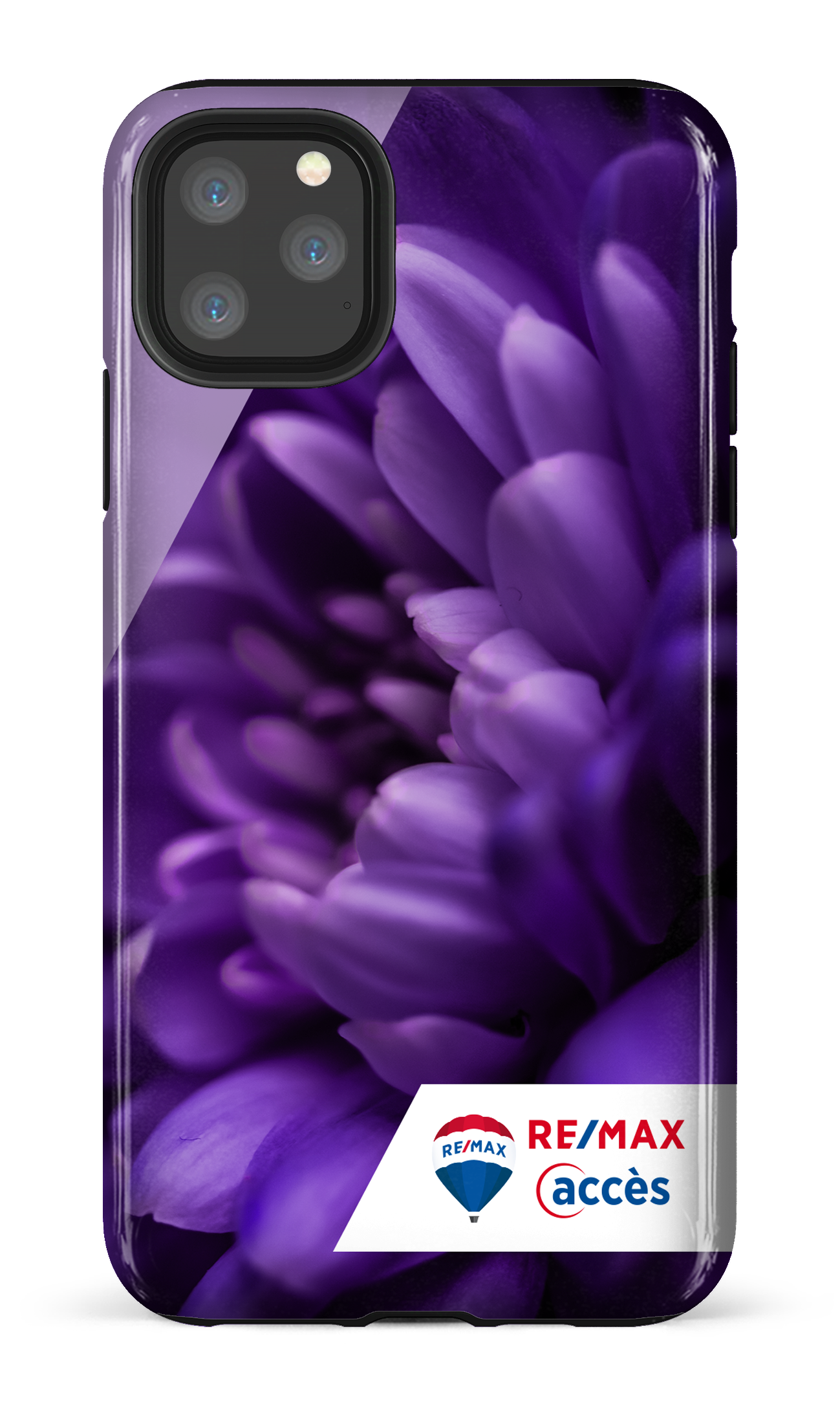 Fleur gros plan - iPhone 11 Pro Max