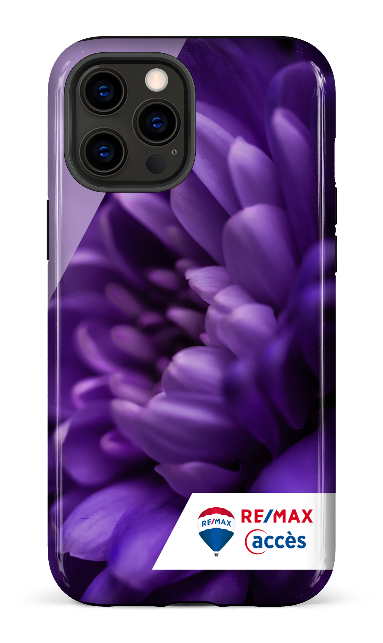 Fleur gros plan - iPhone 12 Pro Max