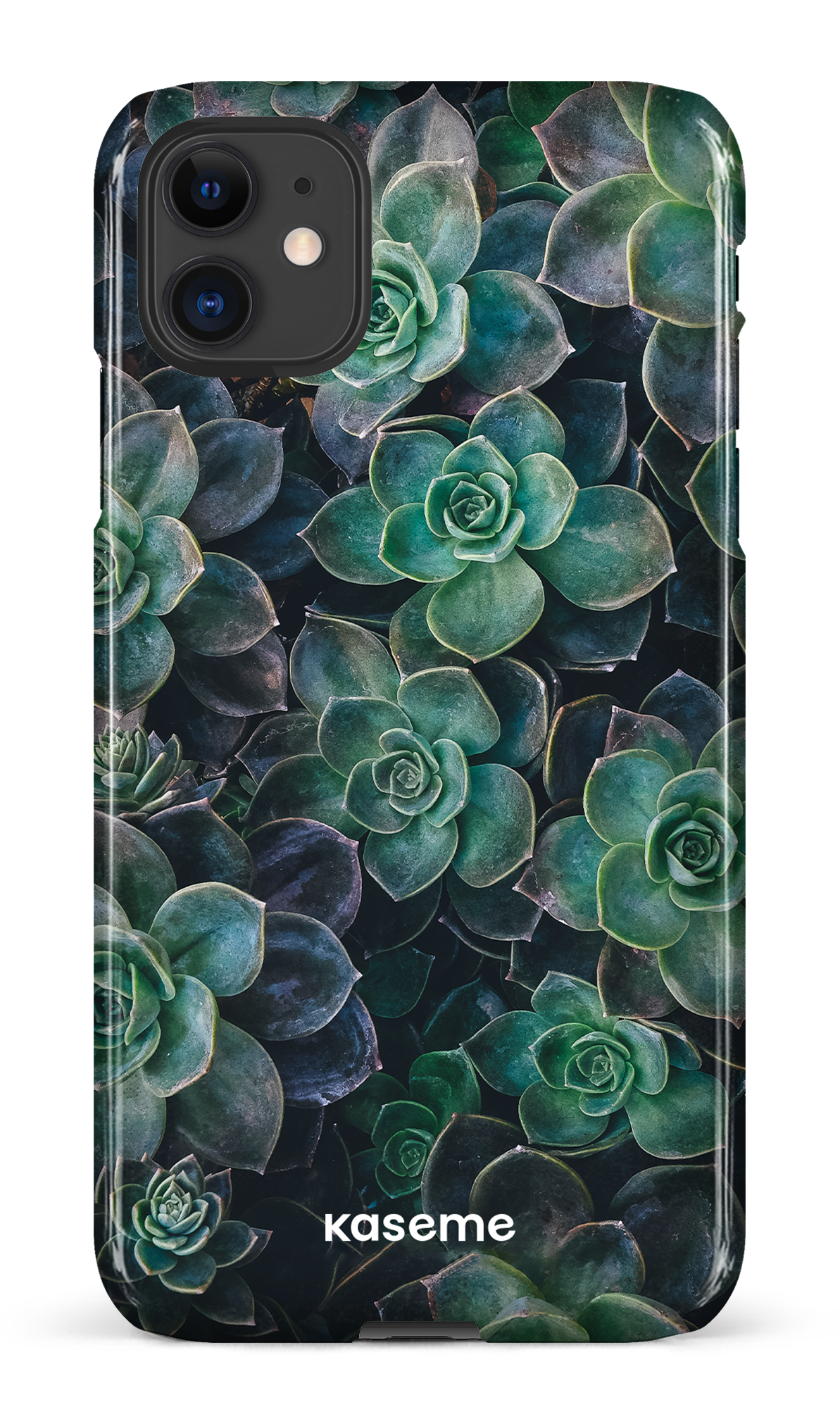 Succulente - iPhone 11