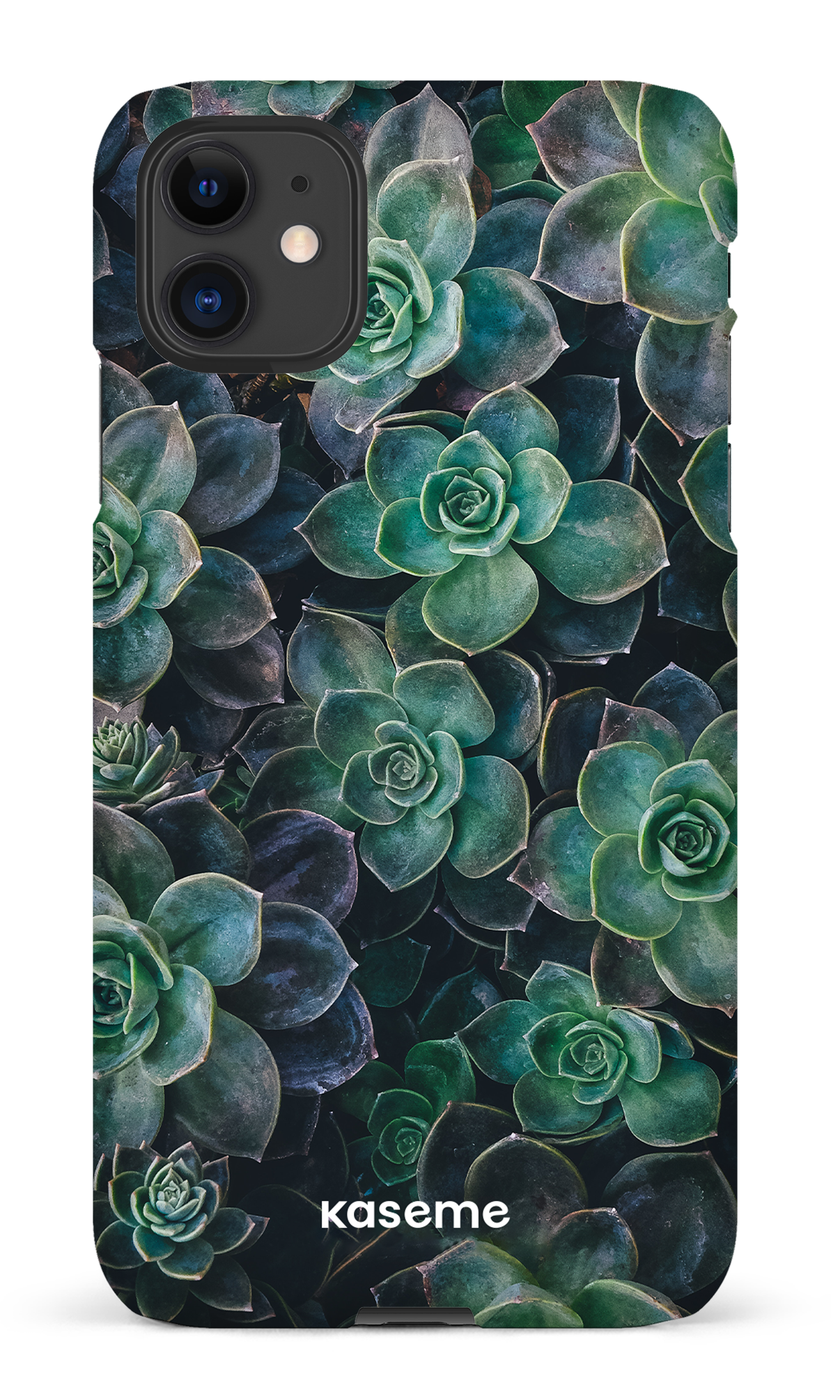 Succulente - iPhone 11