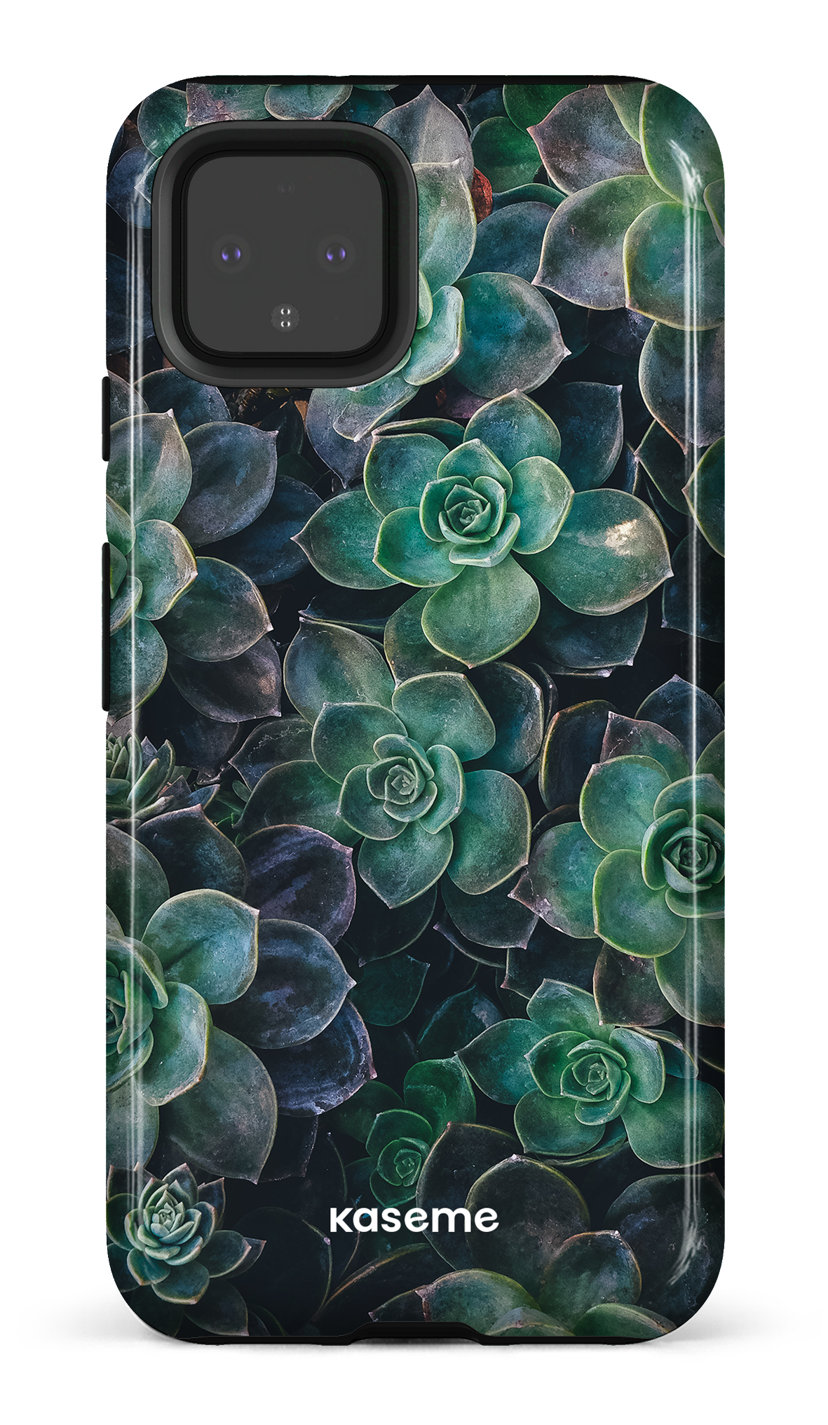 Succulente - Google Pixel 4