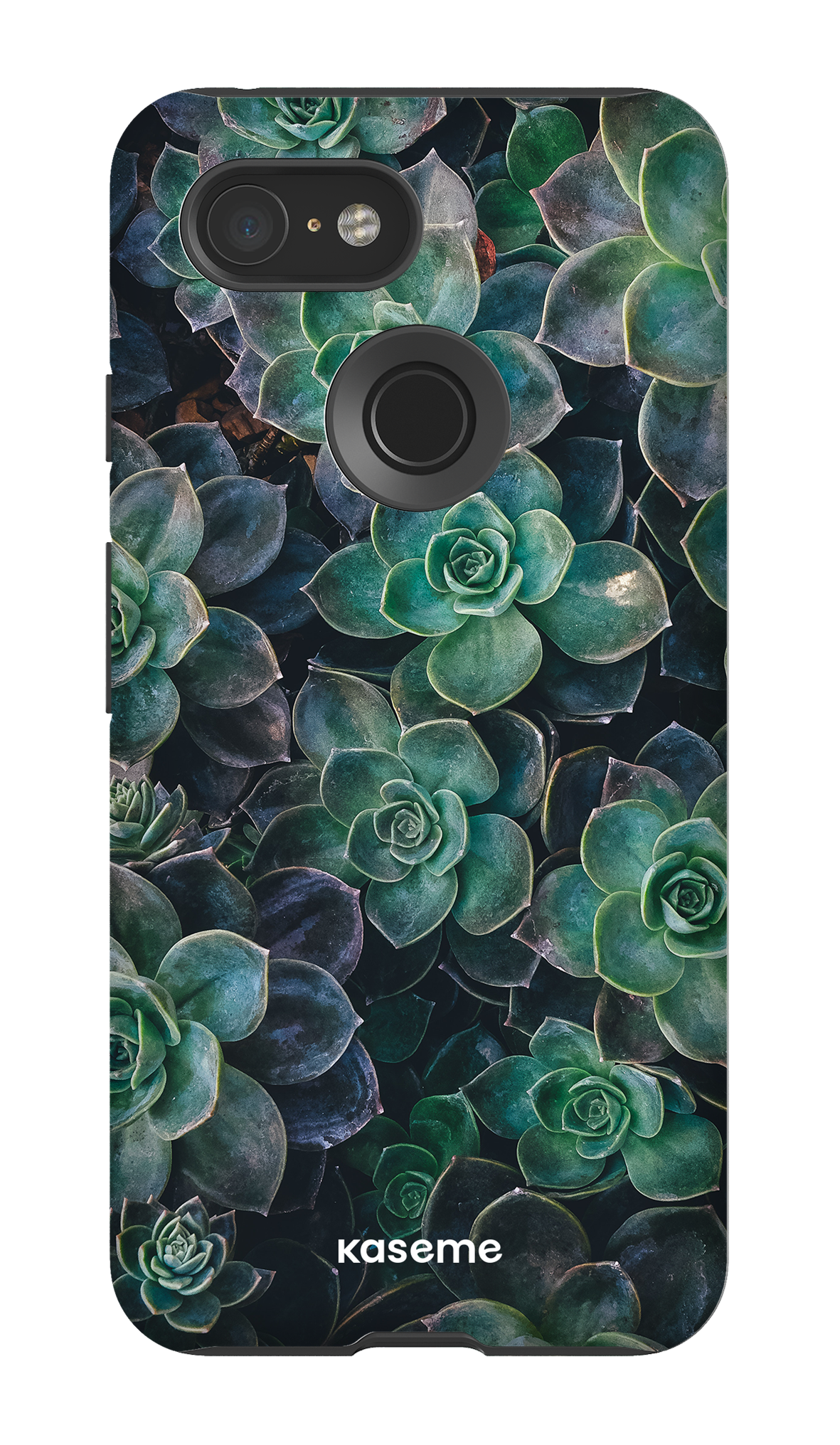 Succulente - Google Pixel 3
