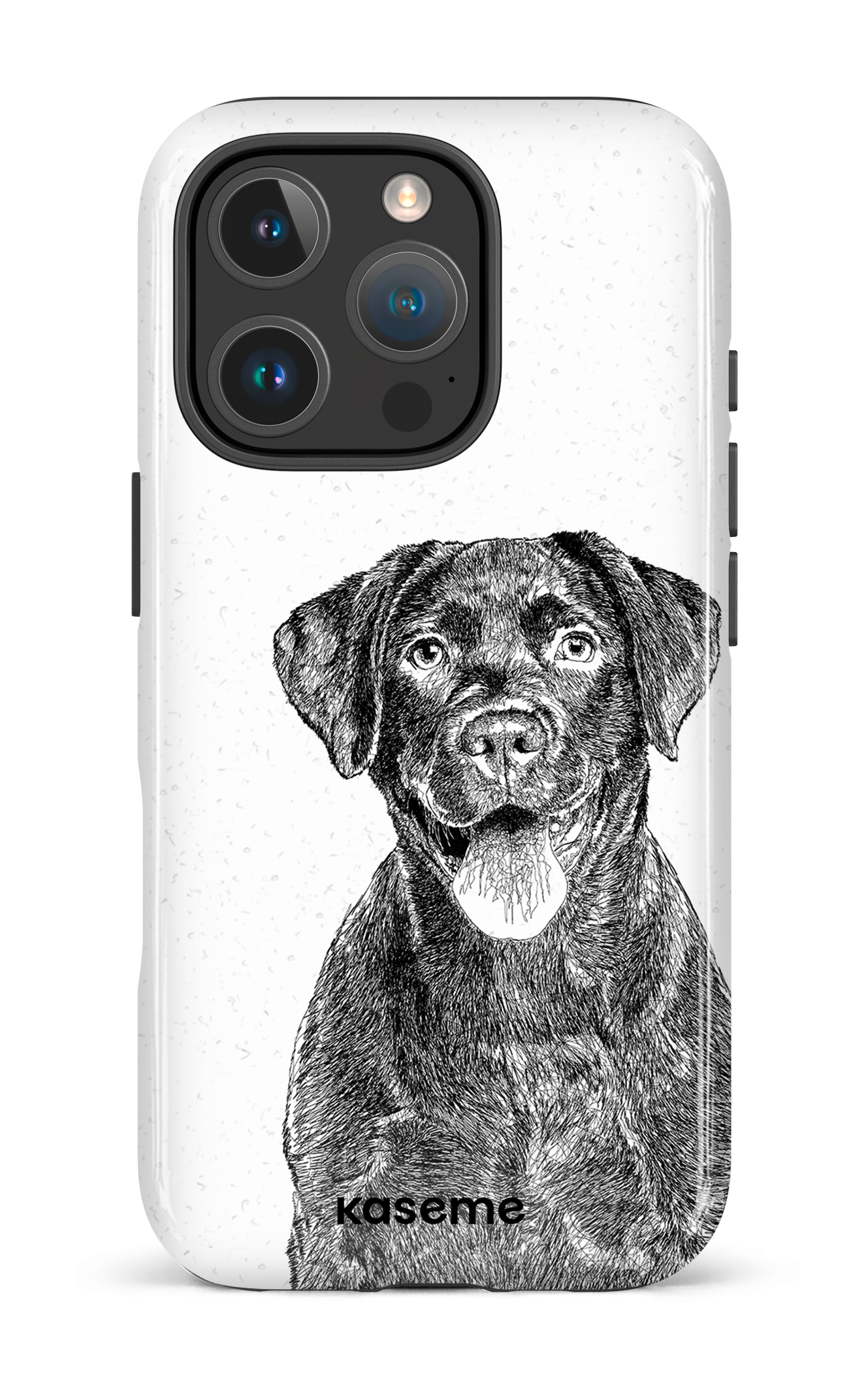Labrador Retriever - iPhone 16 Pro