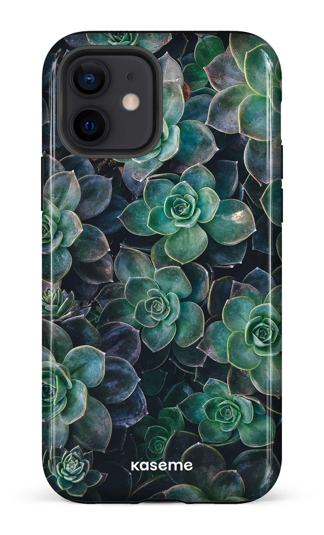 Succulente - iPhone 12