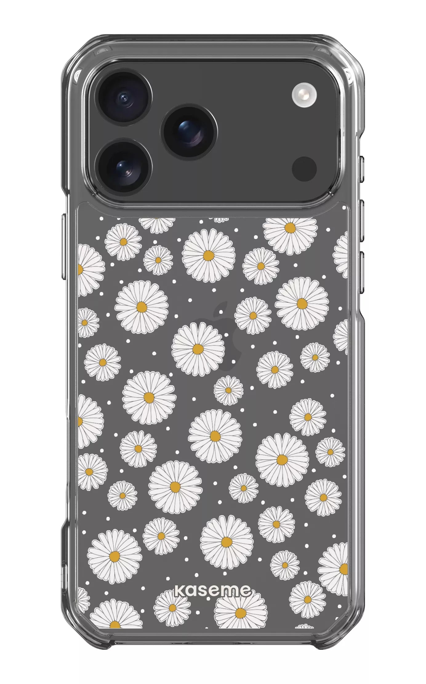  Ashley Clear Case -