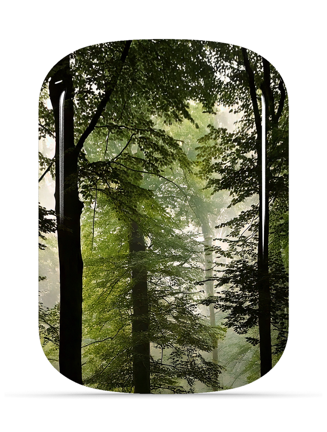 ChargePods Shell only Lost ChargePods -