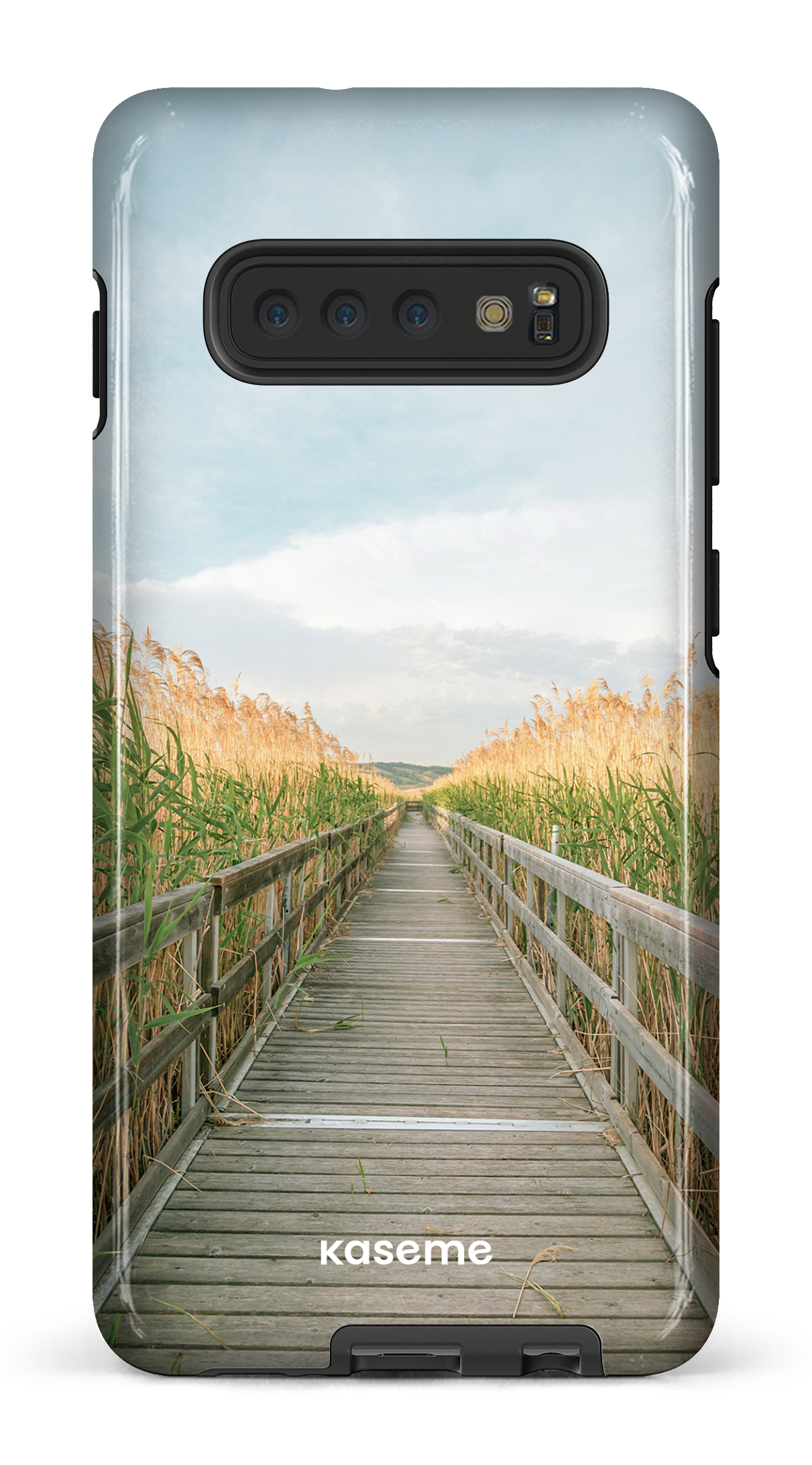 Galaxy S10 Plus Tough Wheatland Way -