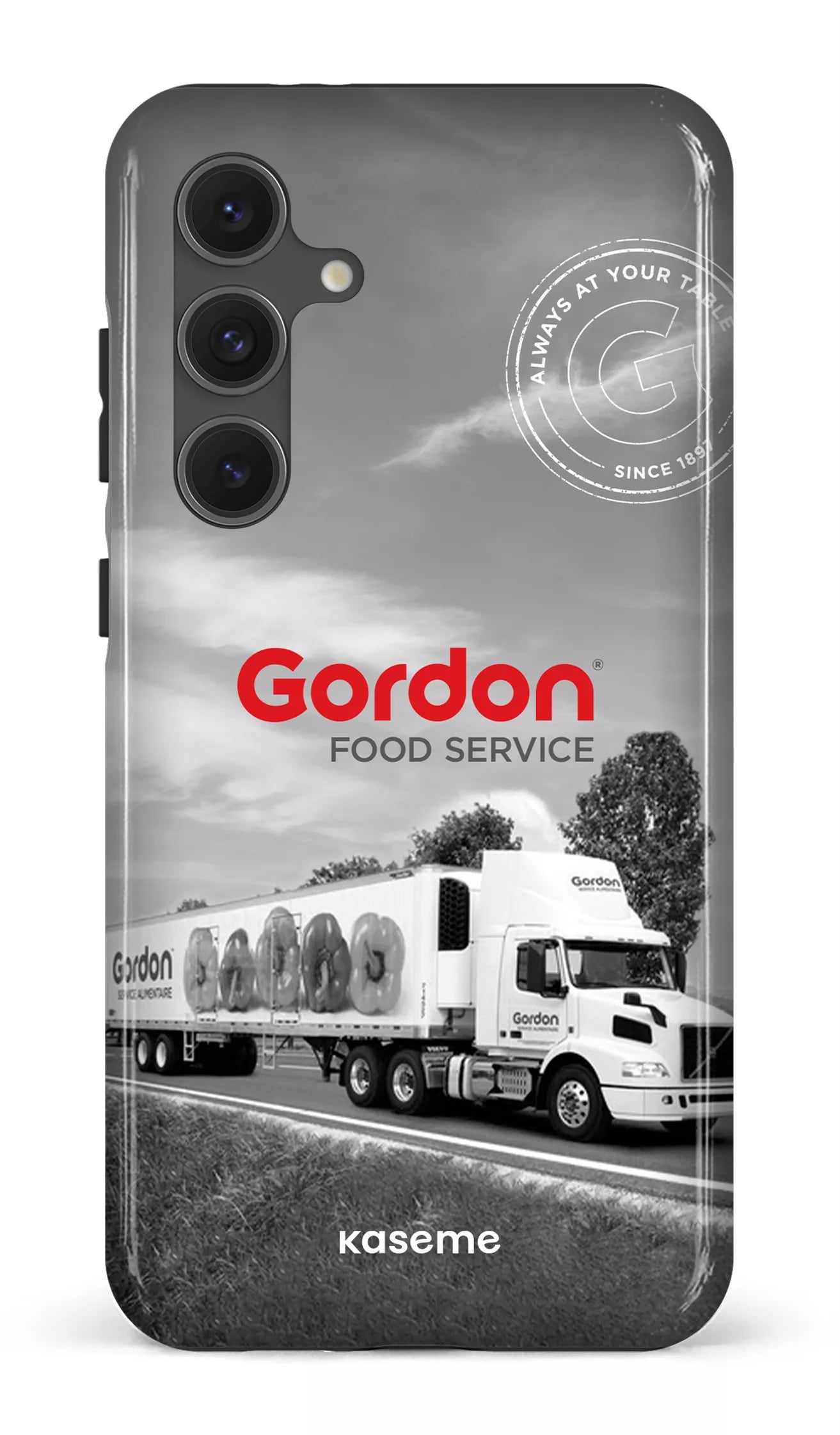 Galaxy S24FE Tough Gordon English -