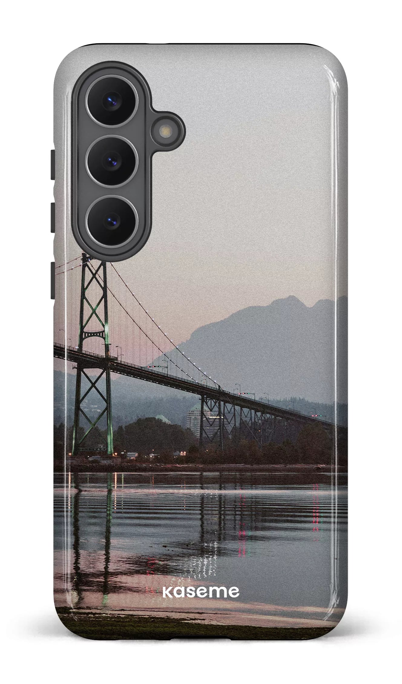 Galaxy S25 FE Tough Lions View -