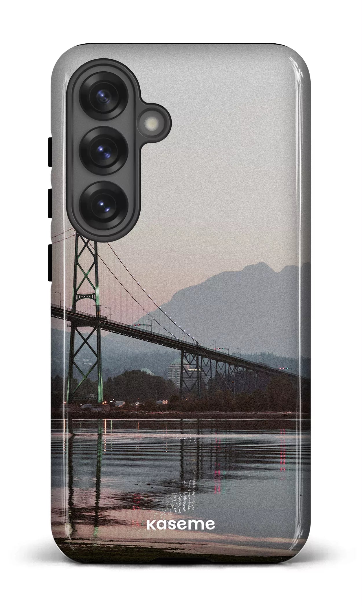 Galaxy S25 Tough (Gloss) Lions View -