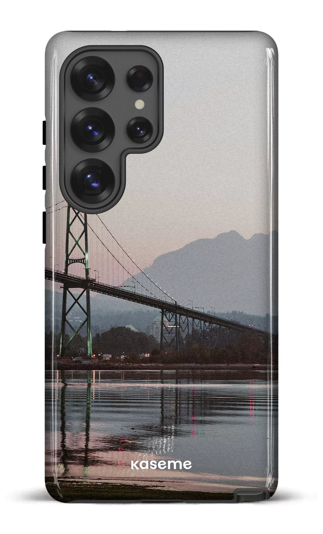 Galaxy S25 Ultra Tough (Gloss) Lions View -