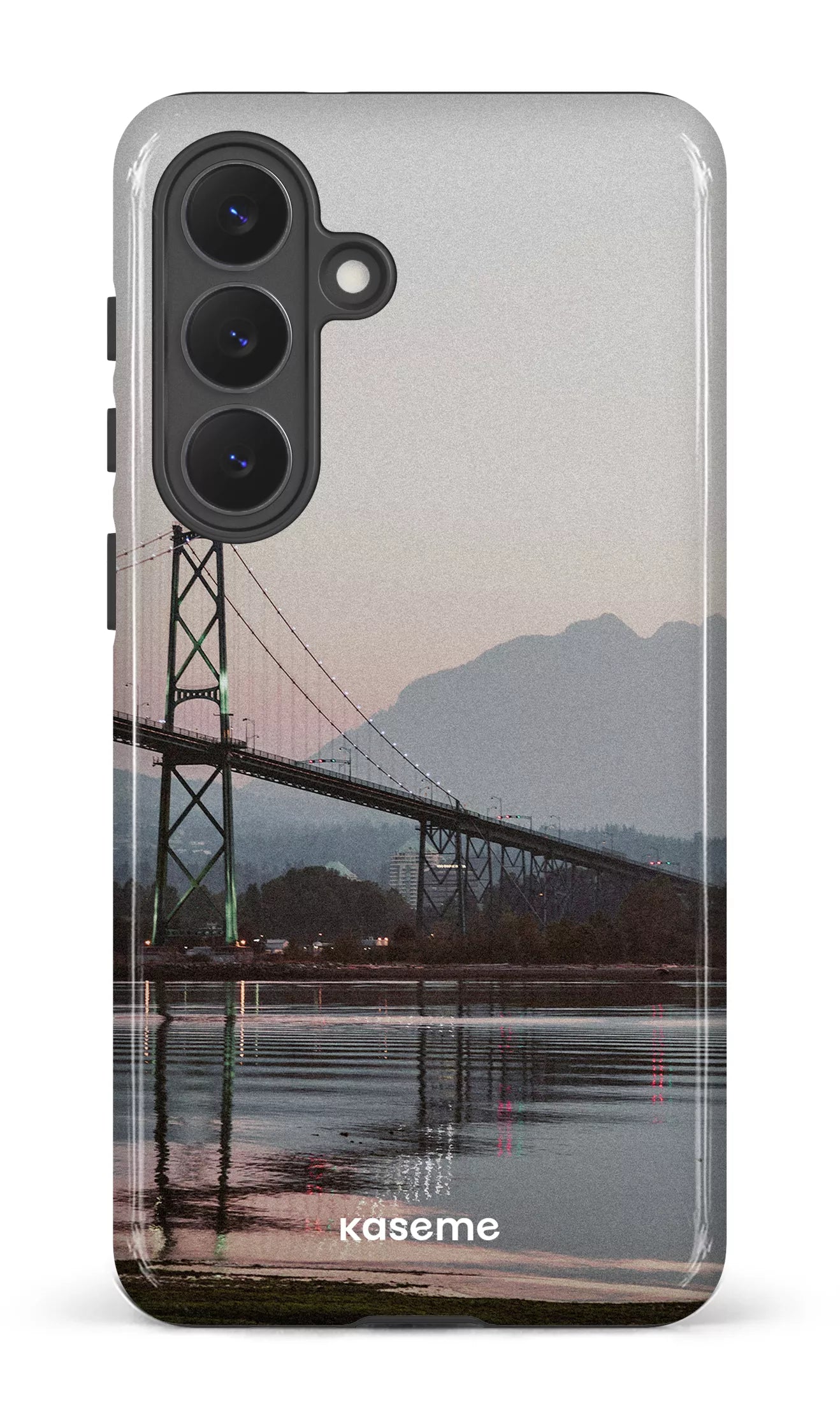 Galaxy S26P Tough (Gloss) Lions View -