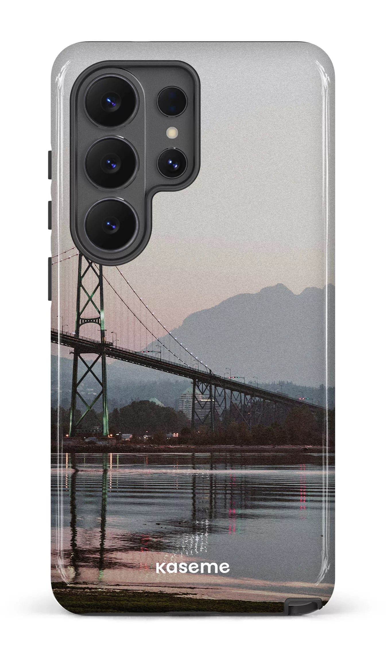 Galaxy S26 U Tough (Gloss) Lions View -