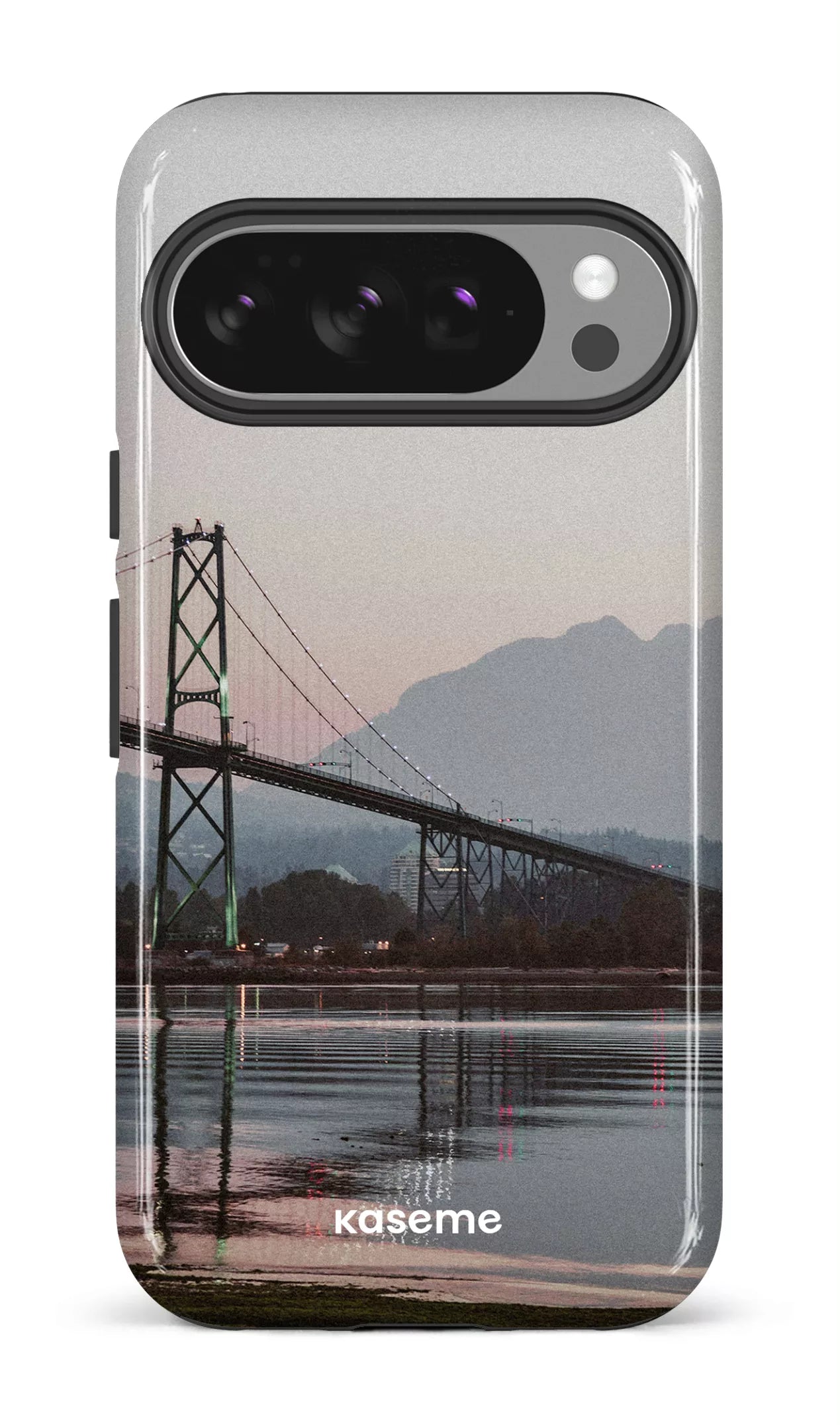 Google Pixel 10 Pro Impact (Gloss) Lions View -