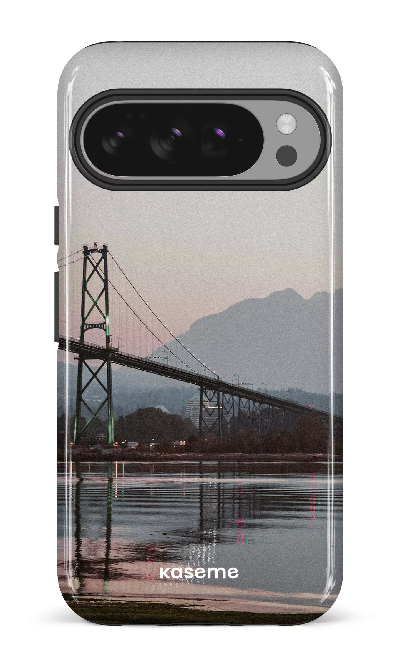 Google Pixel 10 Pro XL Impact (Gloss) Lions View -
