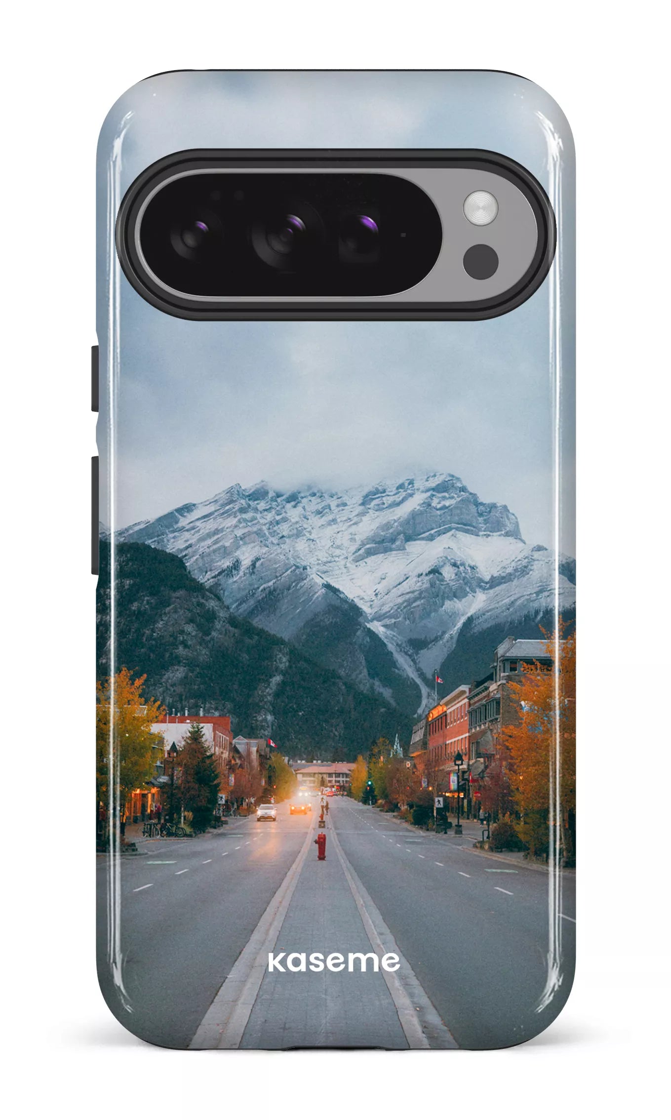 Google Pixel 10 Pro XL Impact (Gloss) Whistler Pines -
