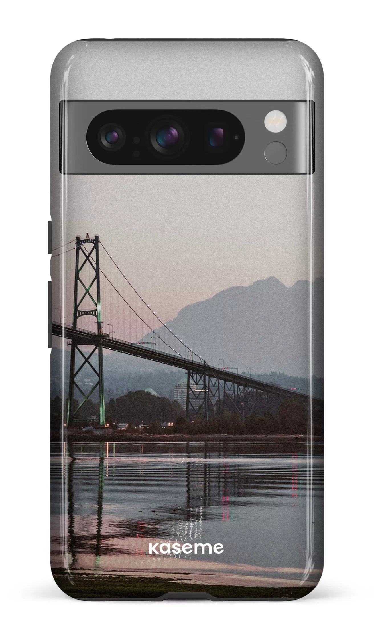 Google Pixel 8 Pro Tough Gloss Lions View -