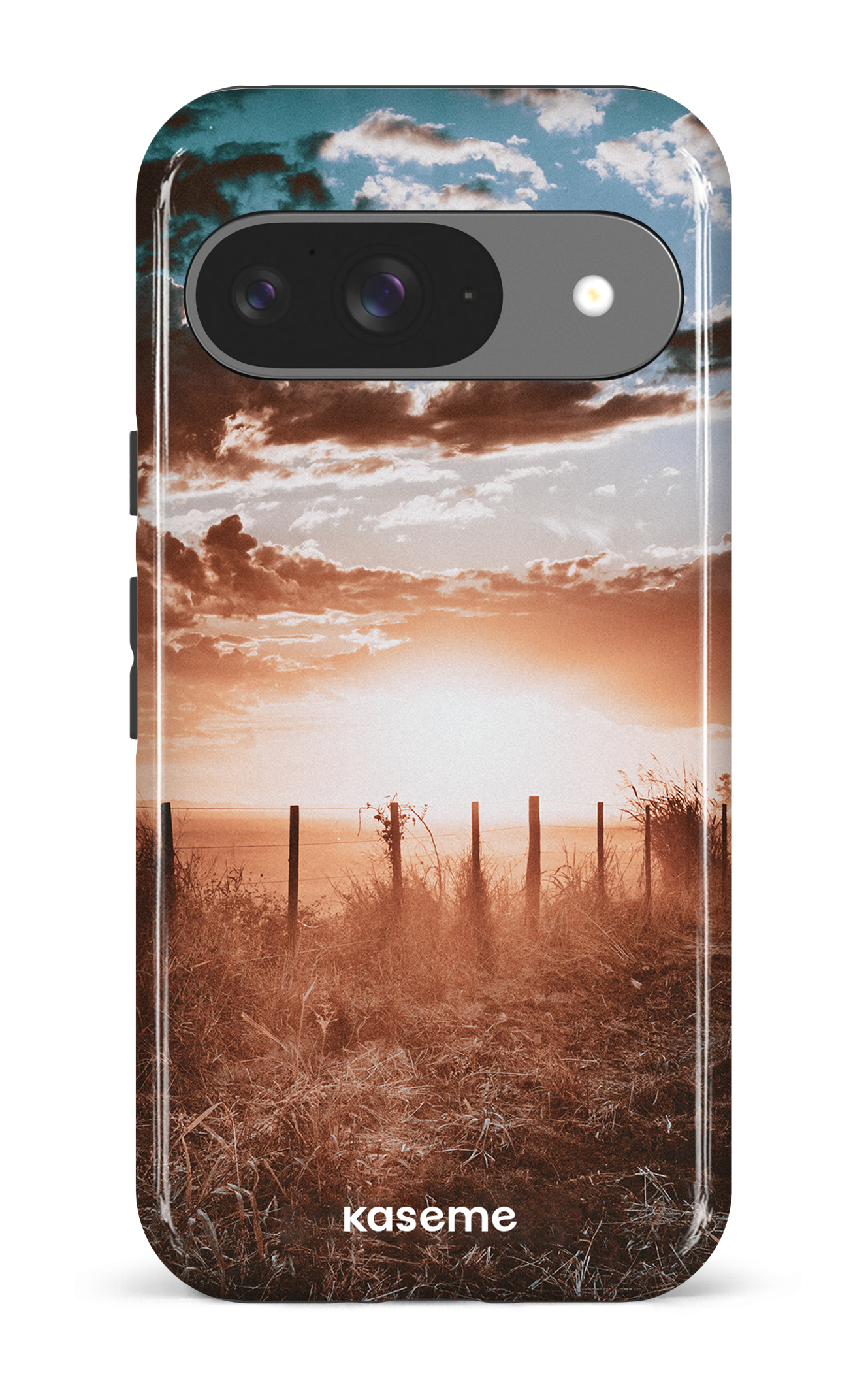 Google Pixel 9 Impact (Gloss) Argentina -